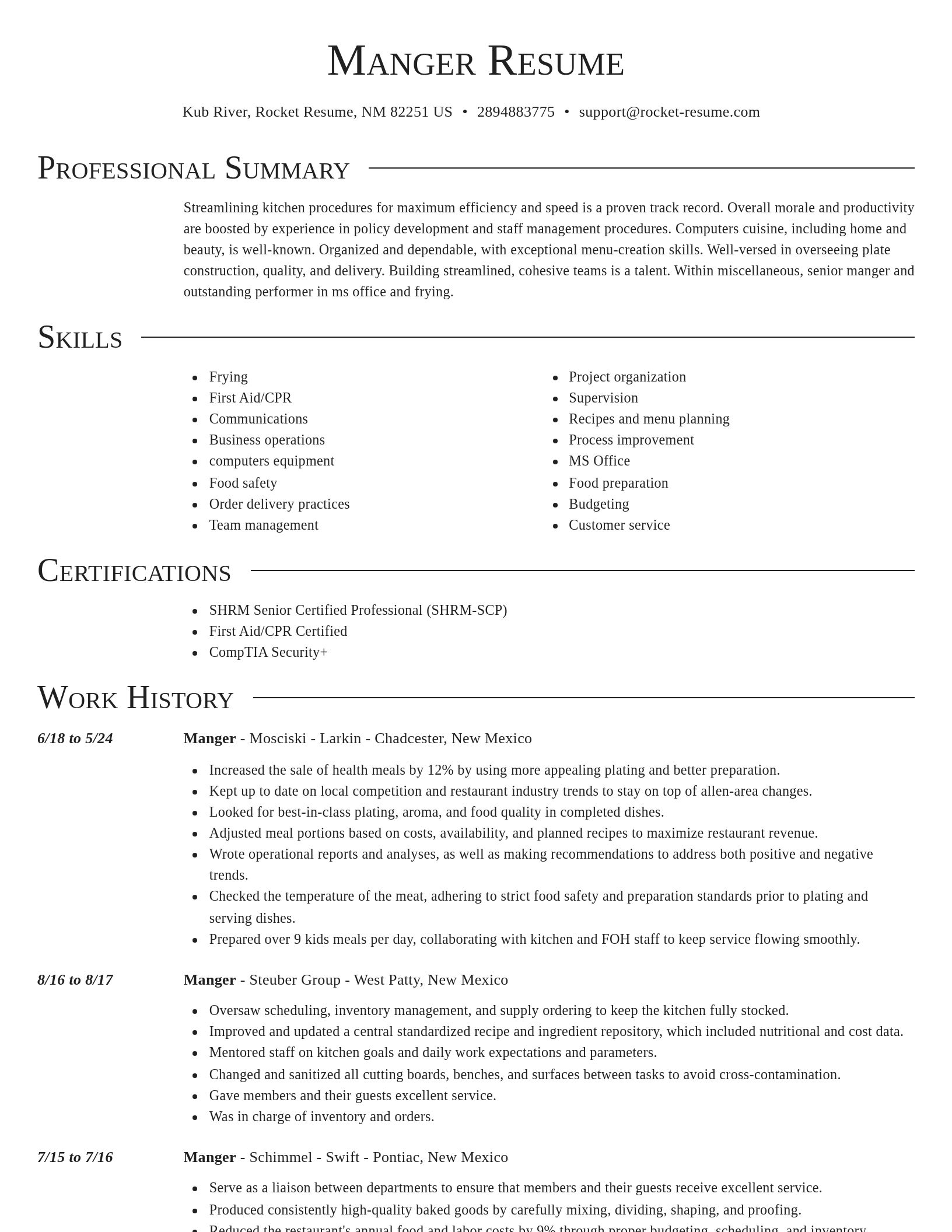 Director resume template