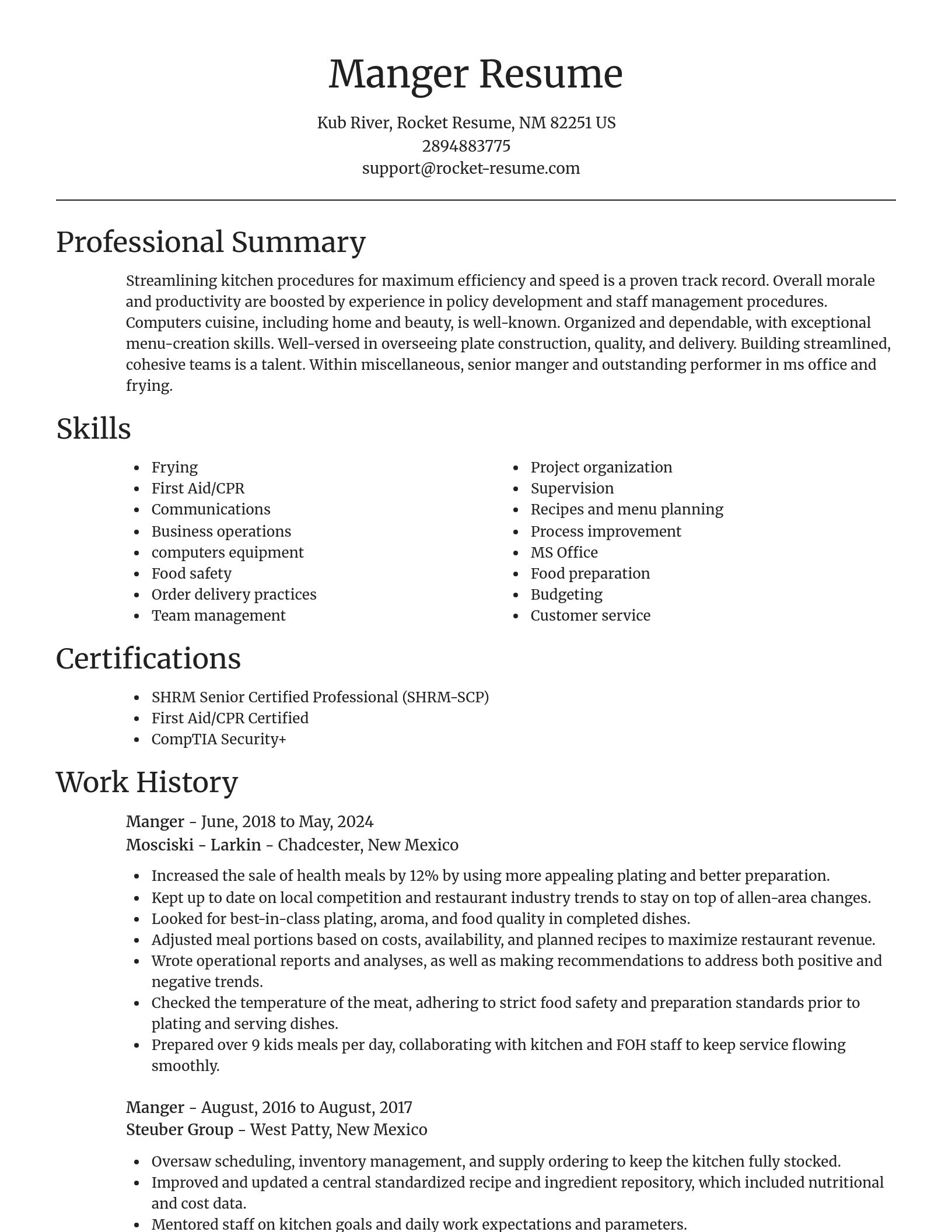 Focal Point resume template