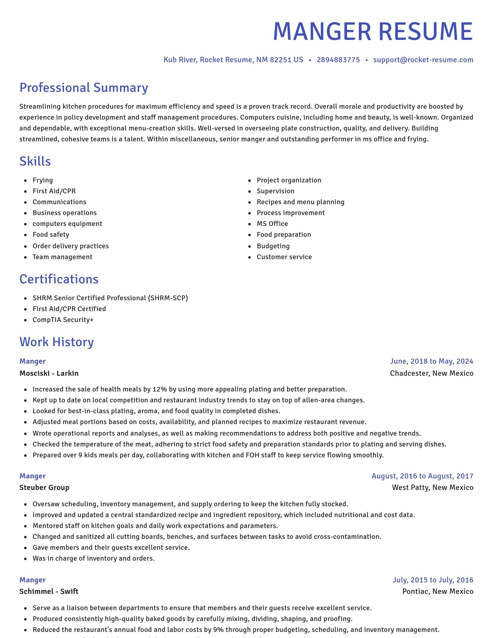 Novel resume template