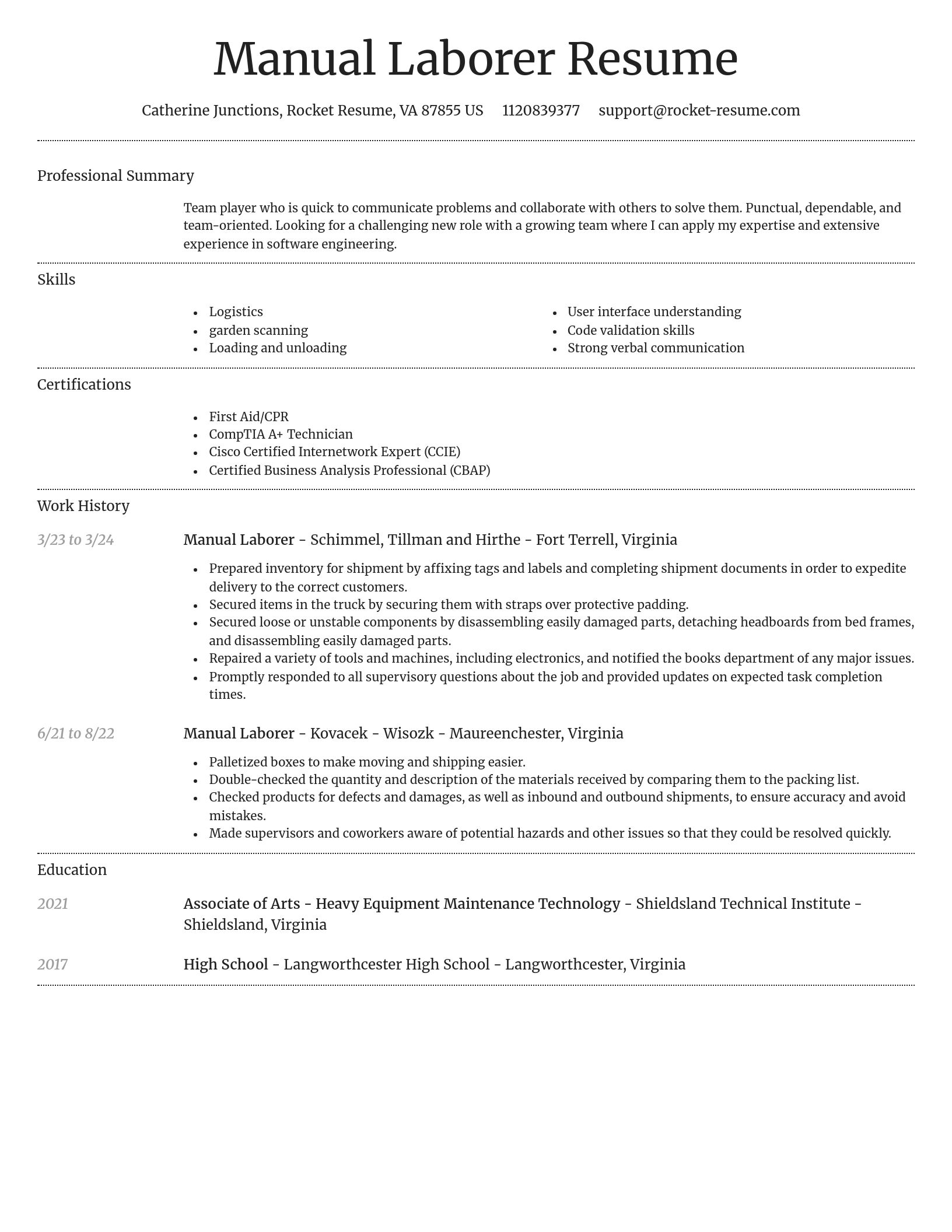 Dignified resume template
