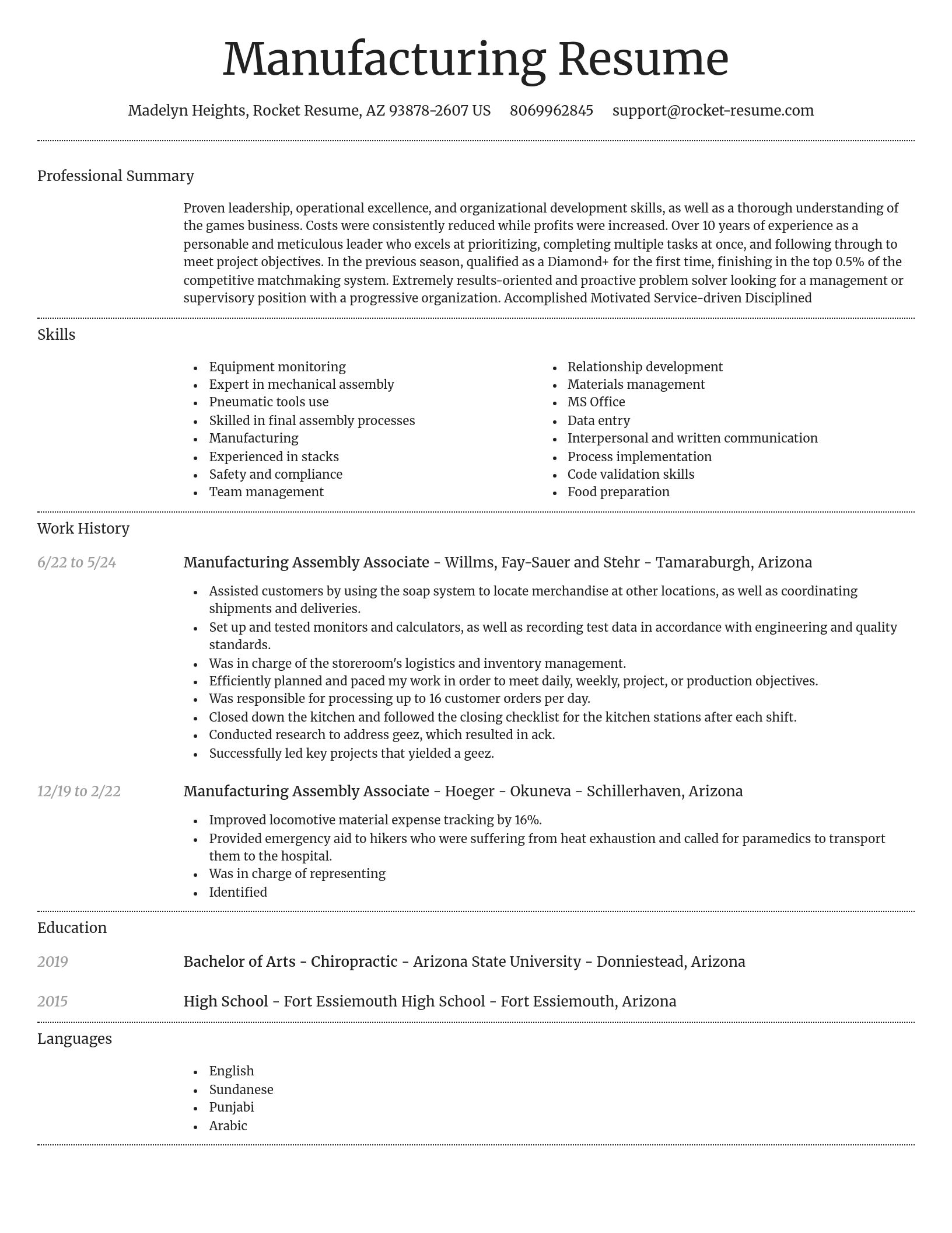 Dignified resume template