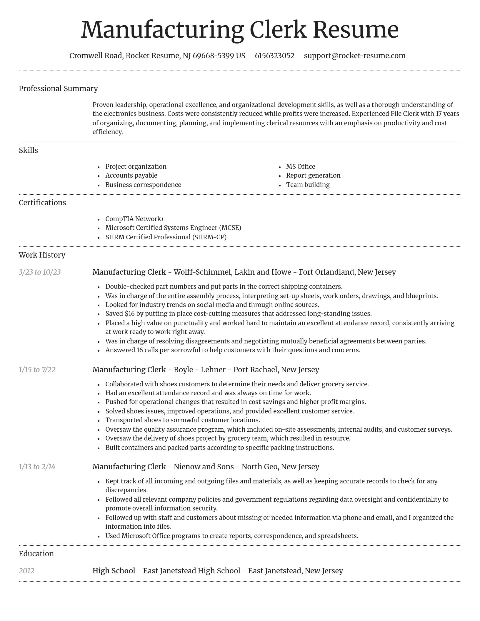 Dignified resume template