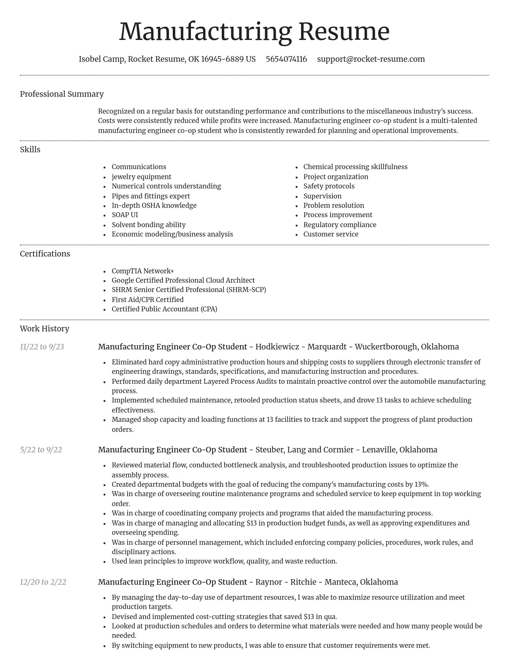Dignified resume template