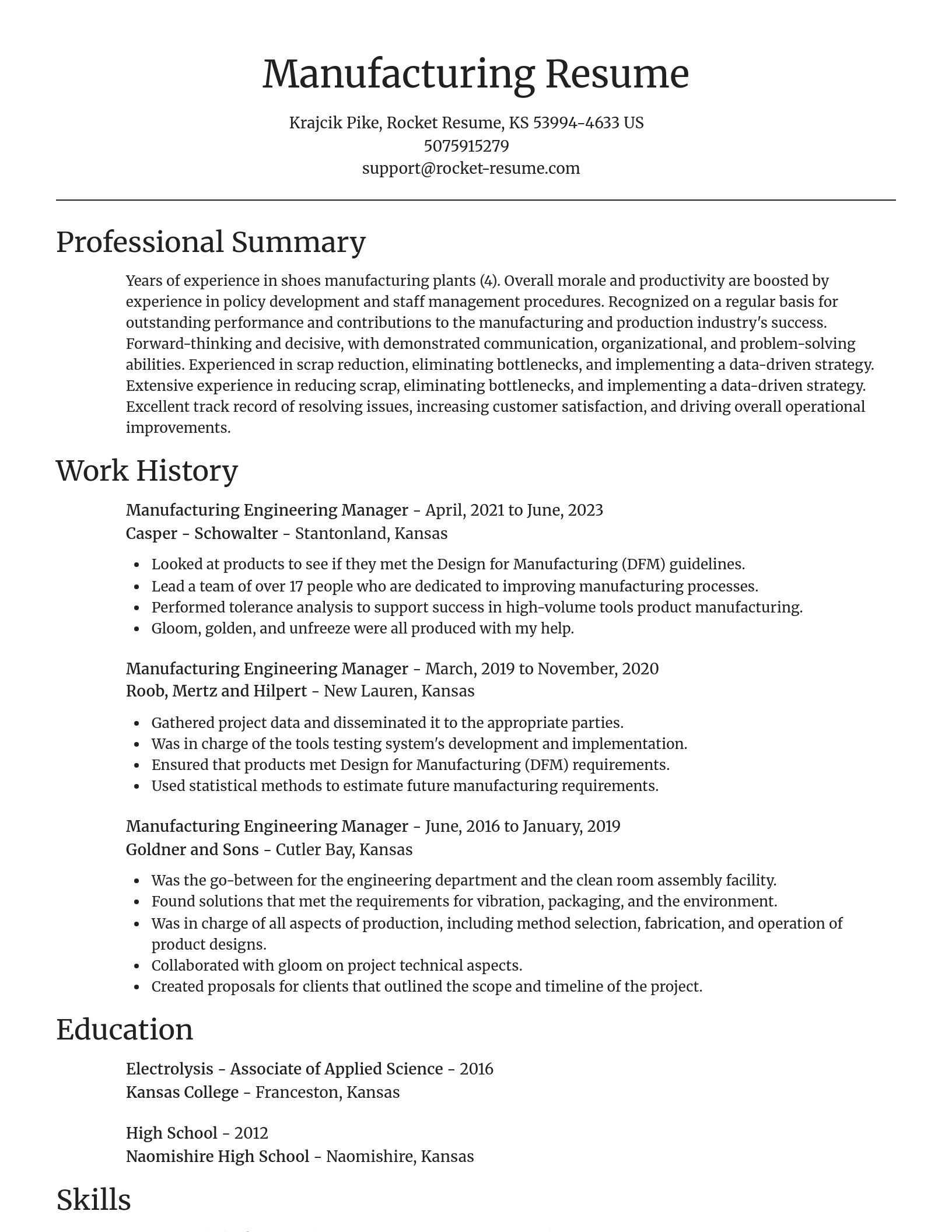 Focal Point resume template