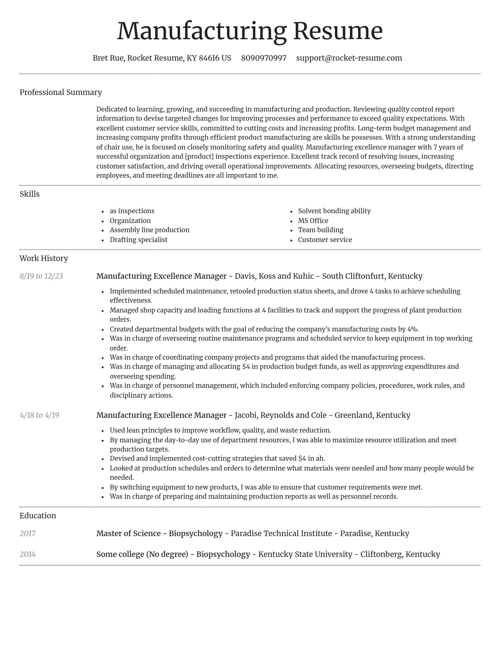 Dignified resume template