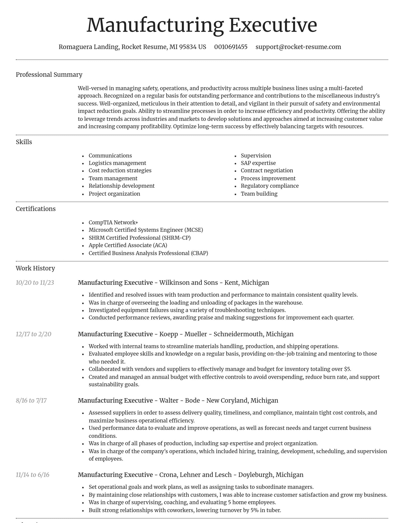 Dignified resume template