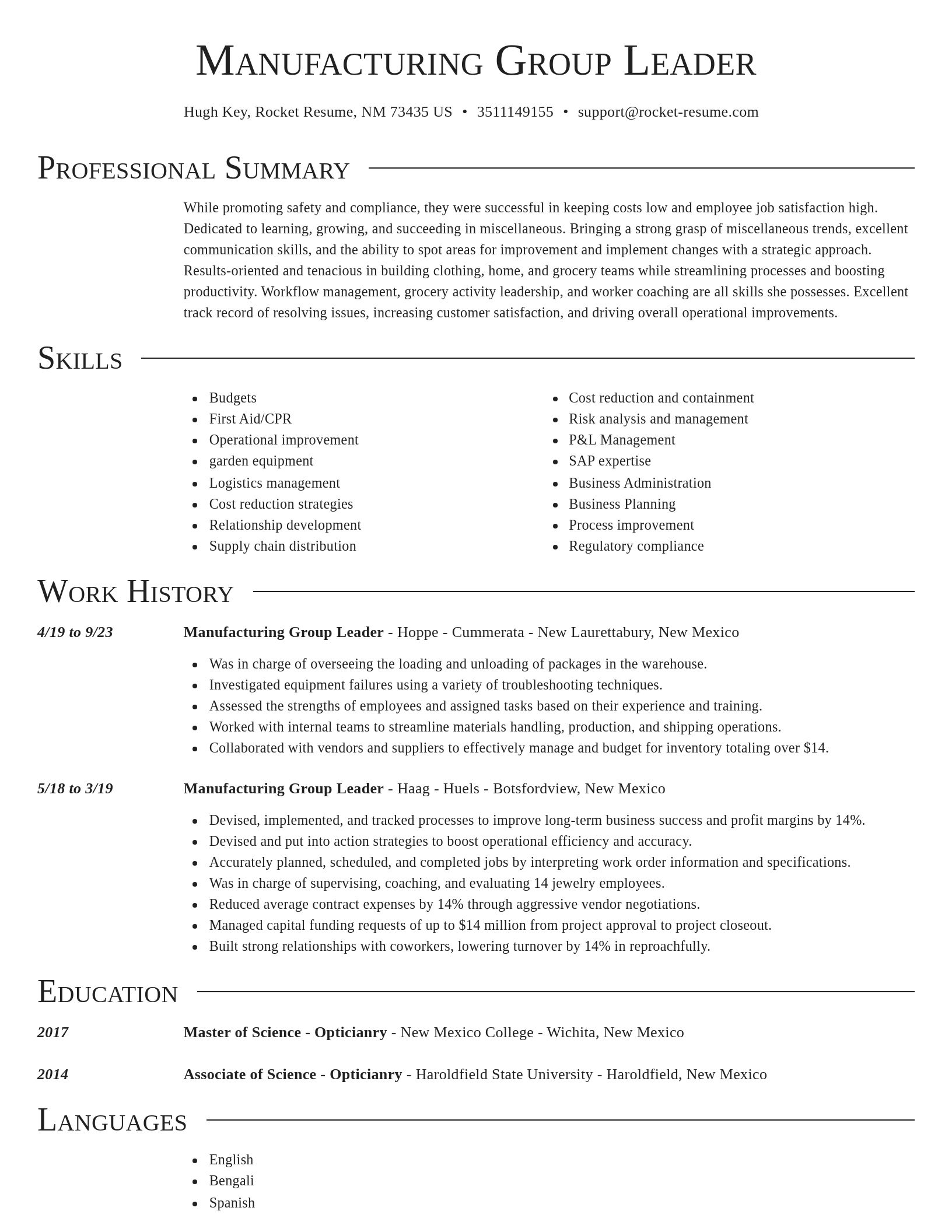 Director resume template