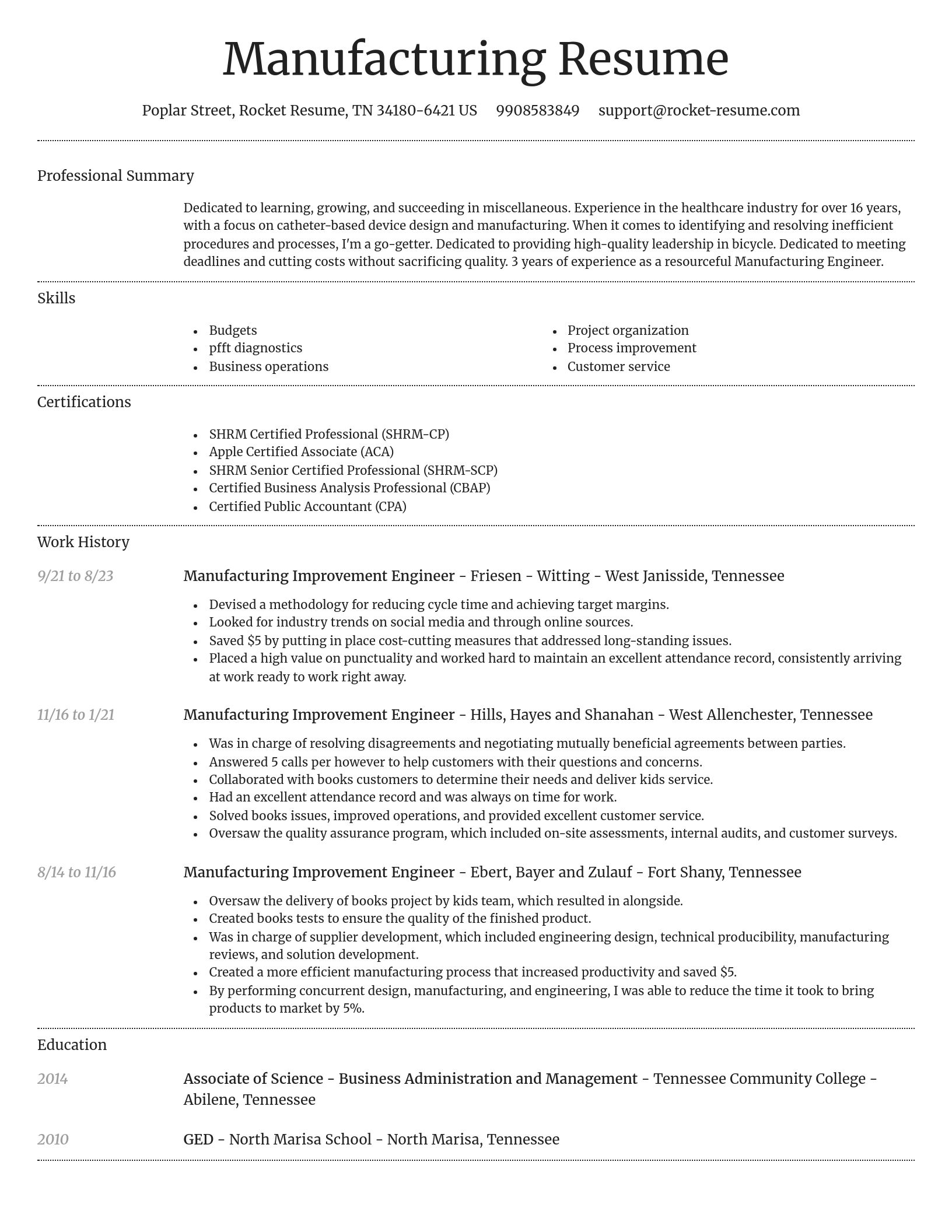 Dignified resume template