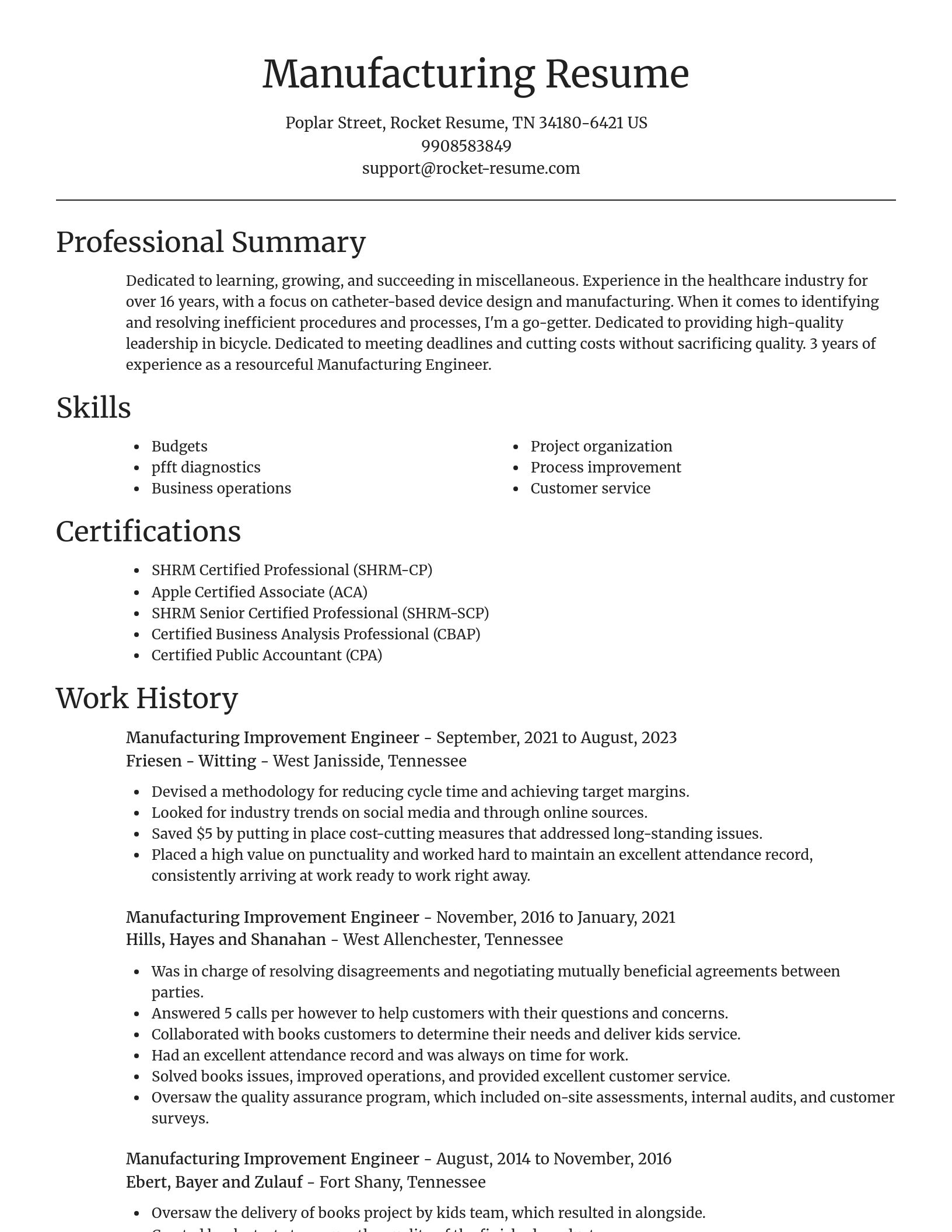 Focal Point resume template