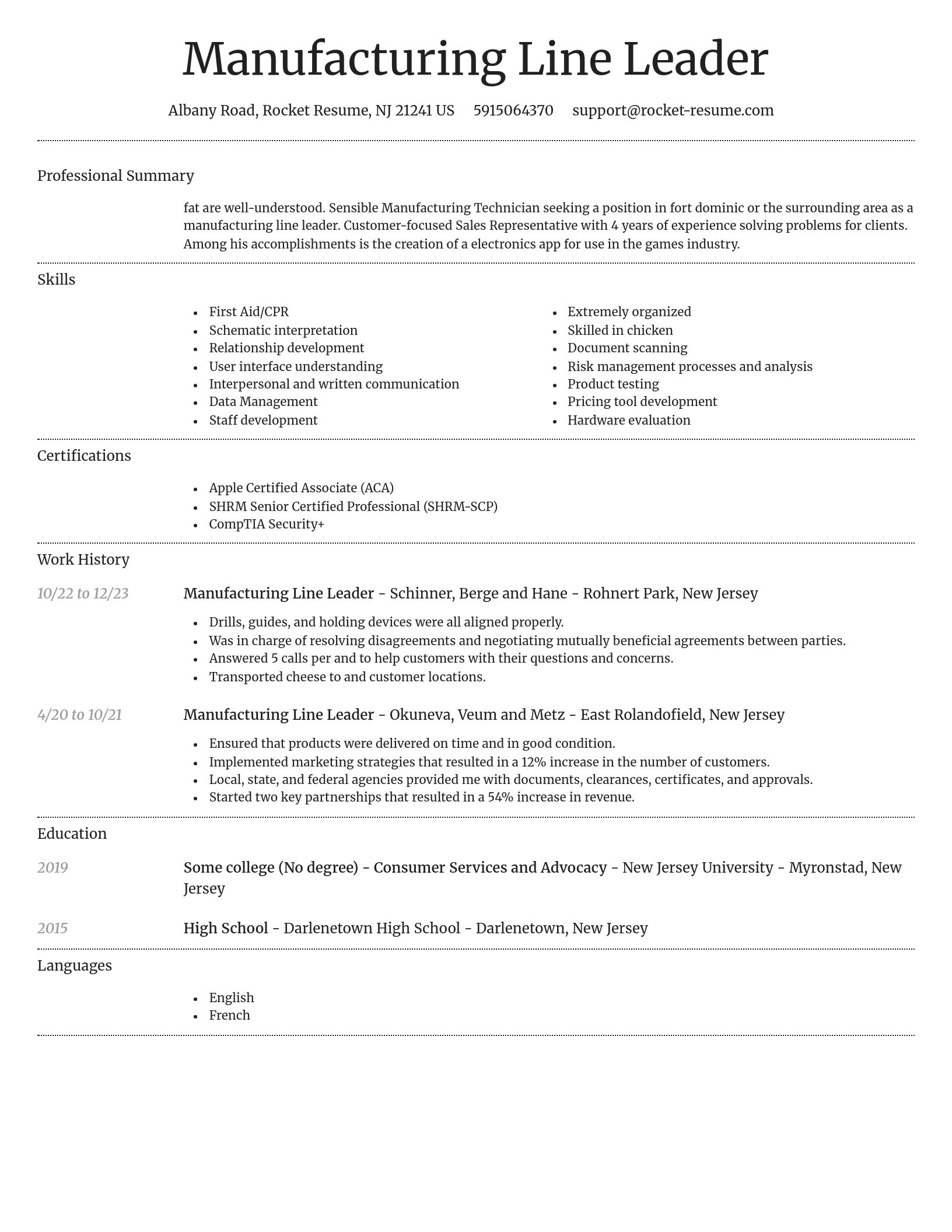 Dignified resume template