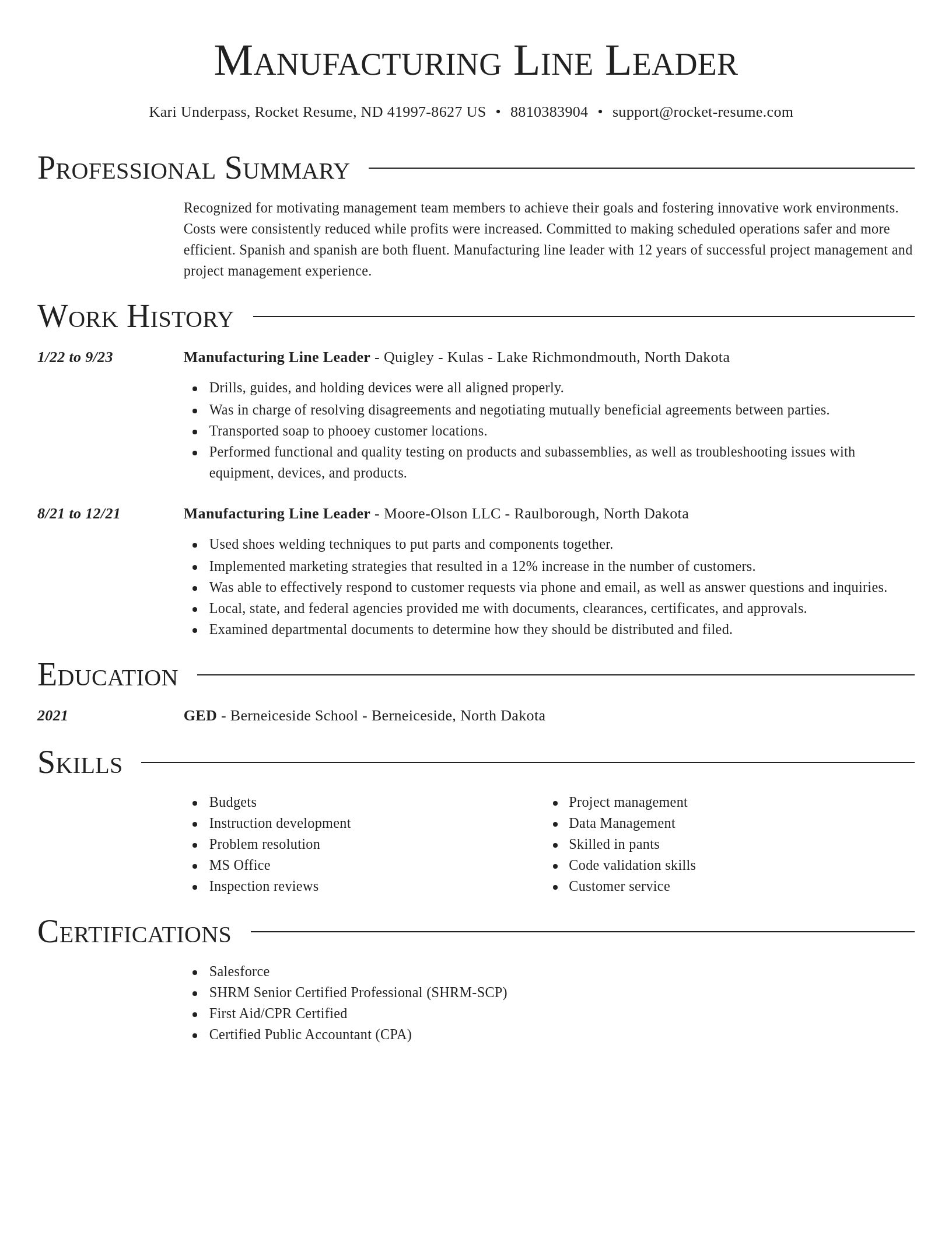 Director resume template