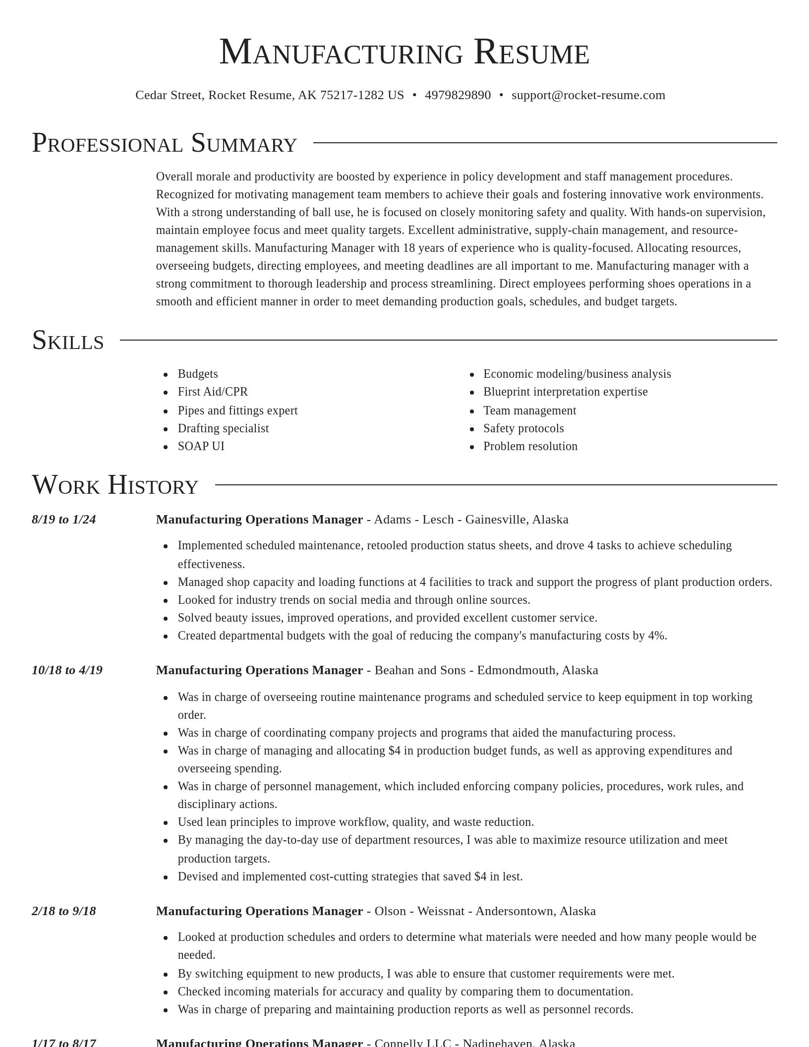 Director resume template