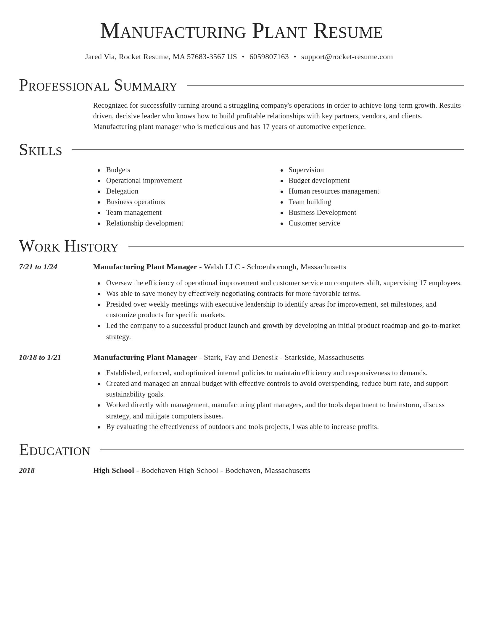 Director resume template