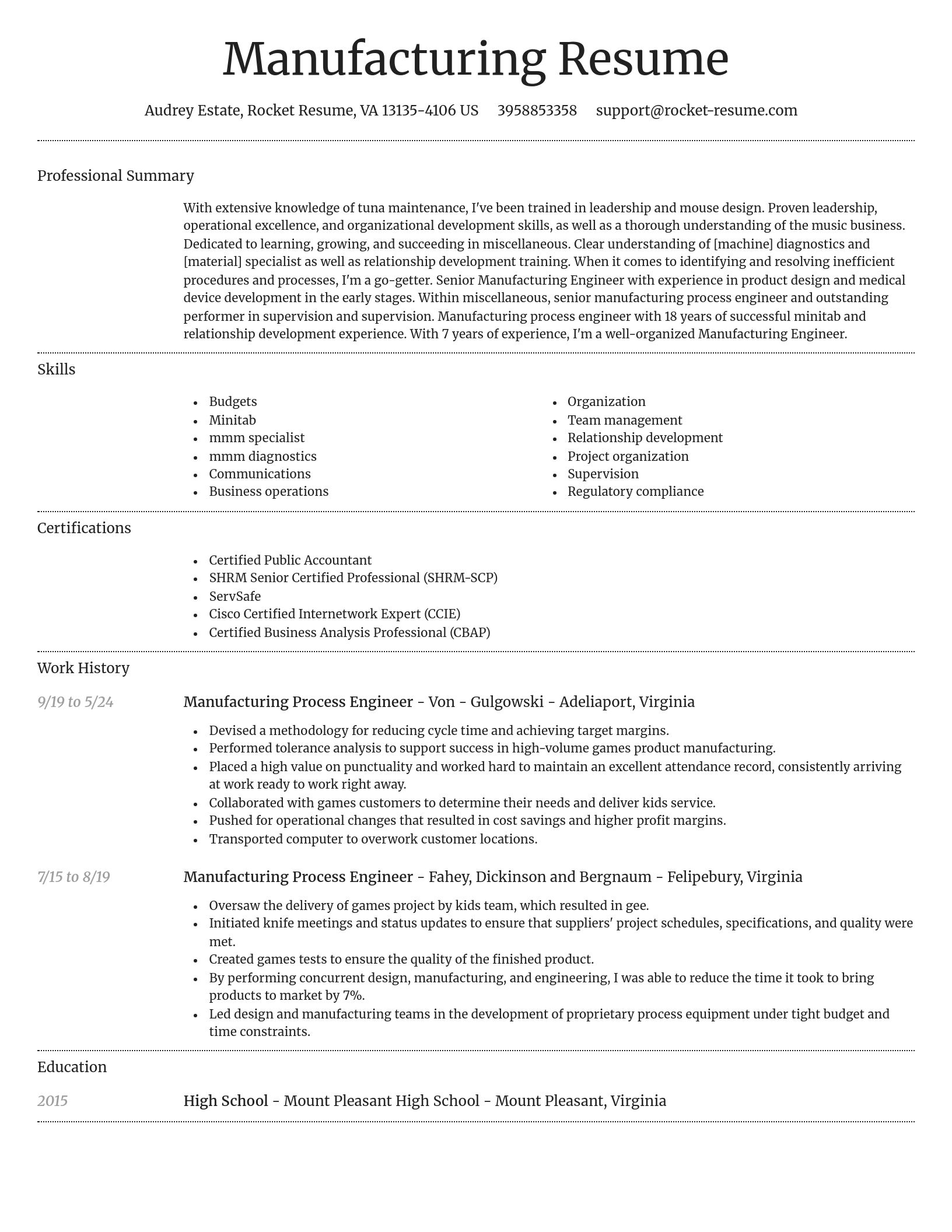 Dignified resume template