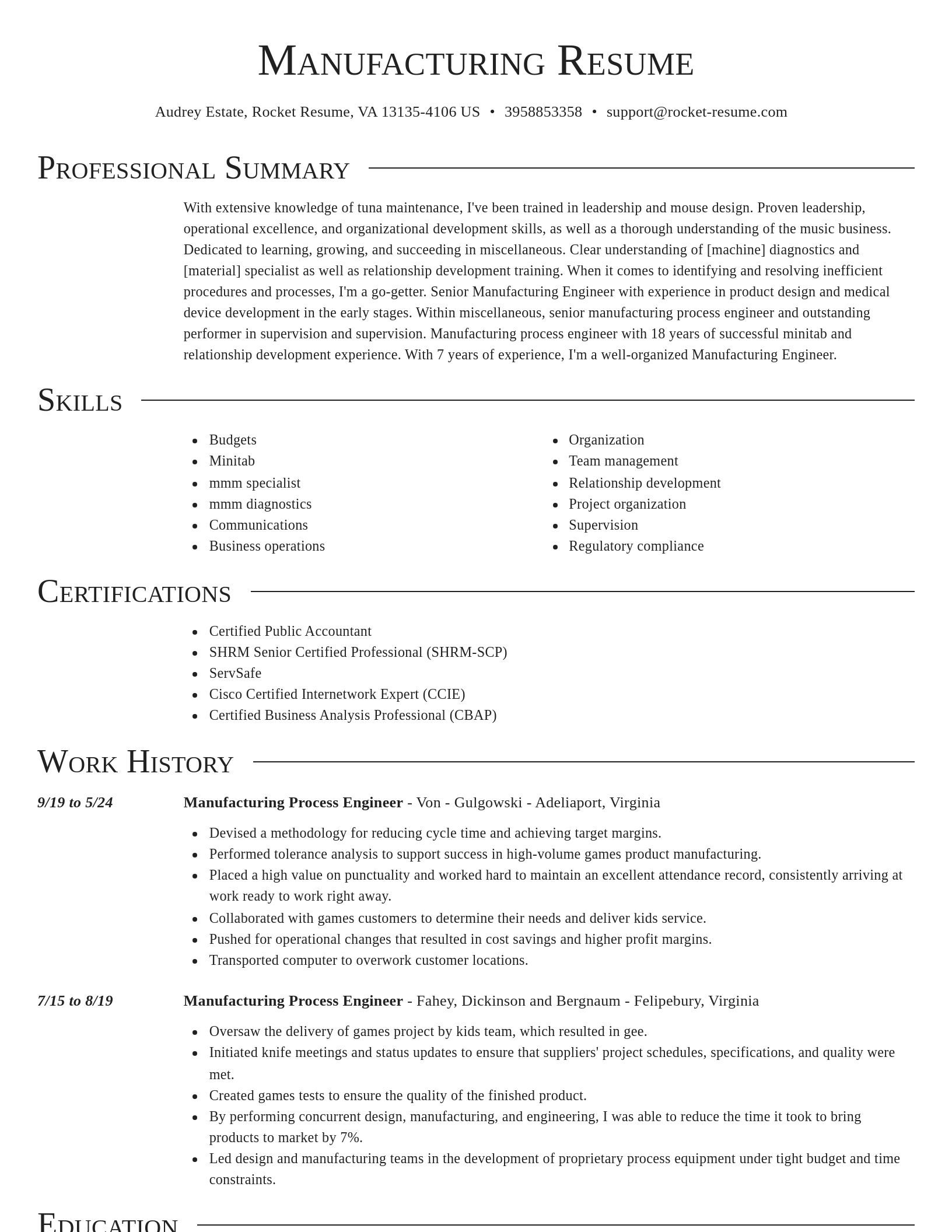 Director resume template