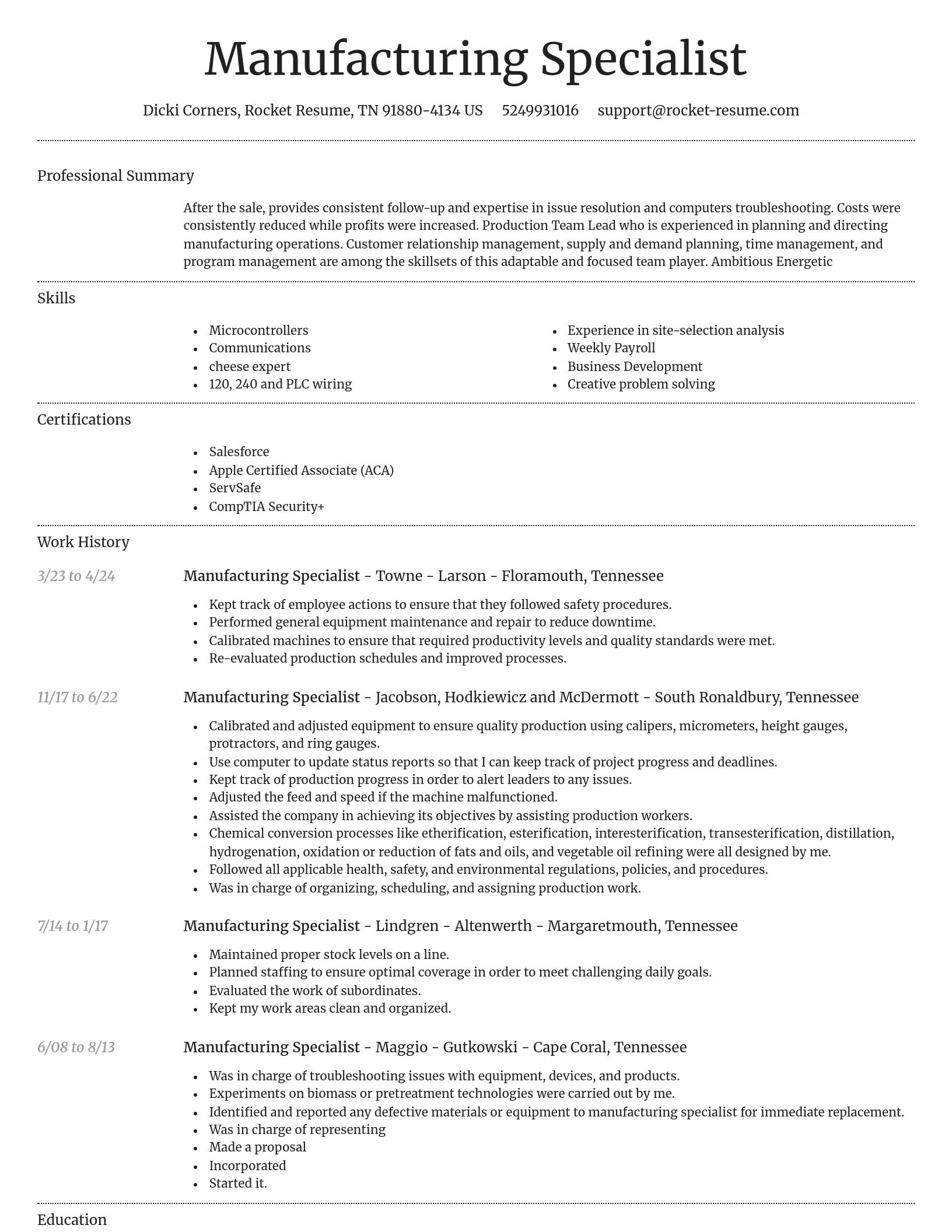 Dignified resume template