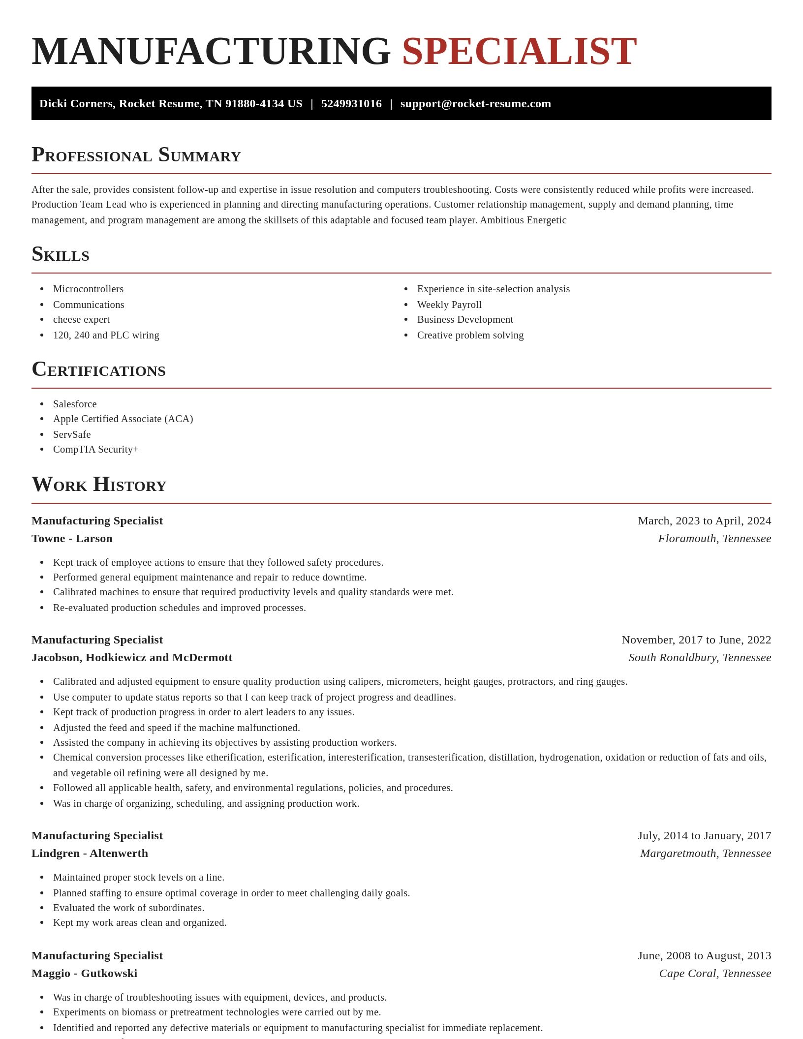 Exquisite resume template