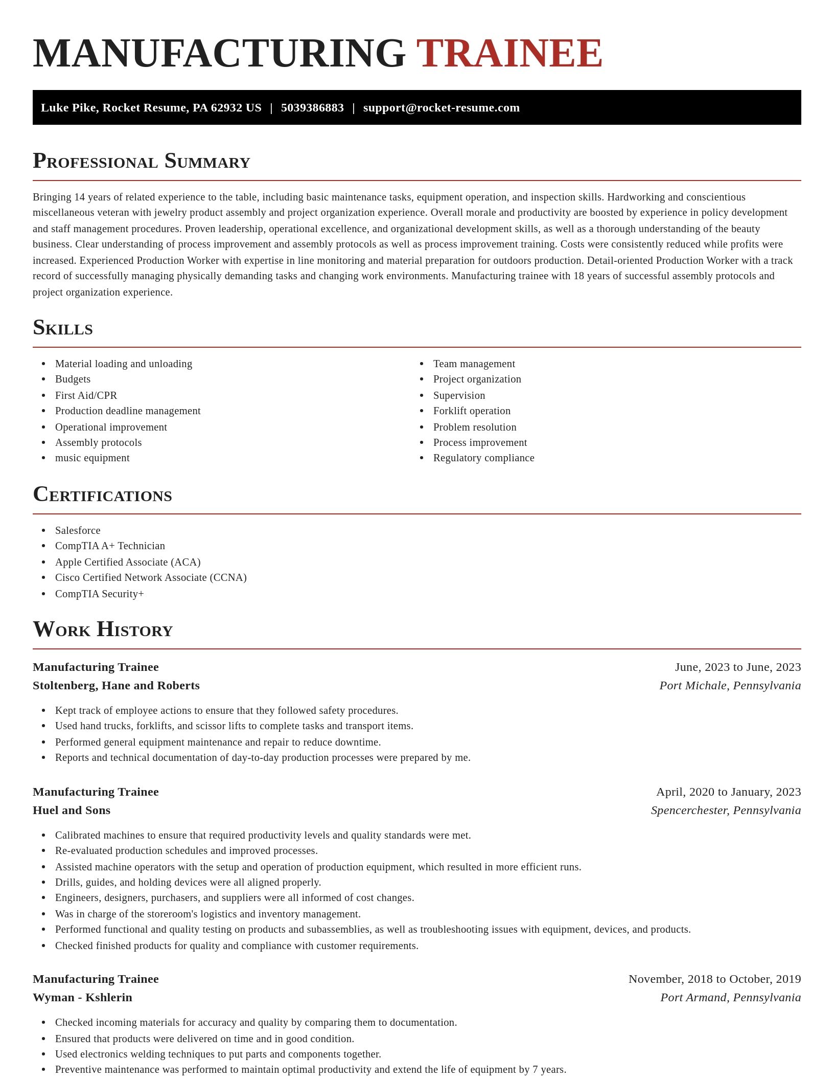 Exquisite resume template