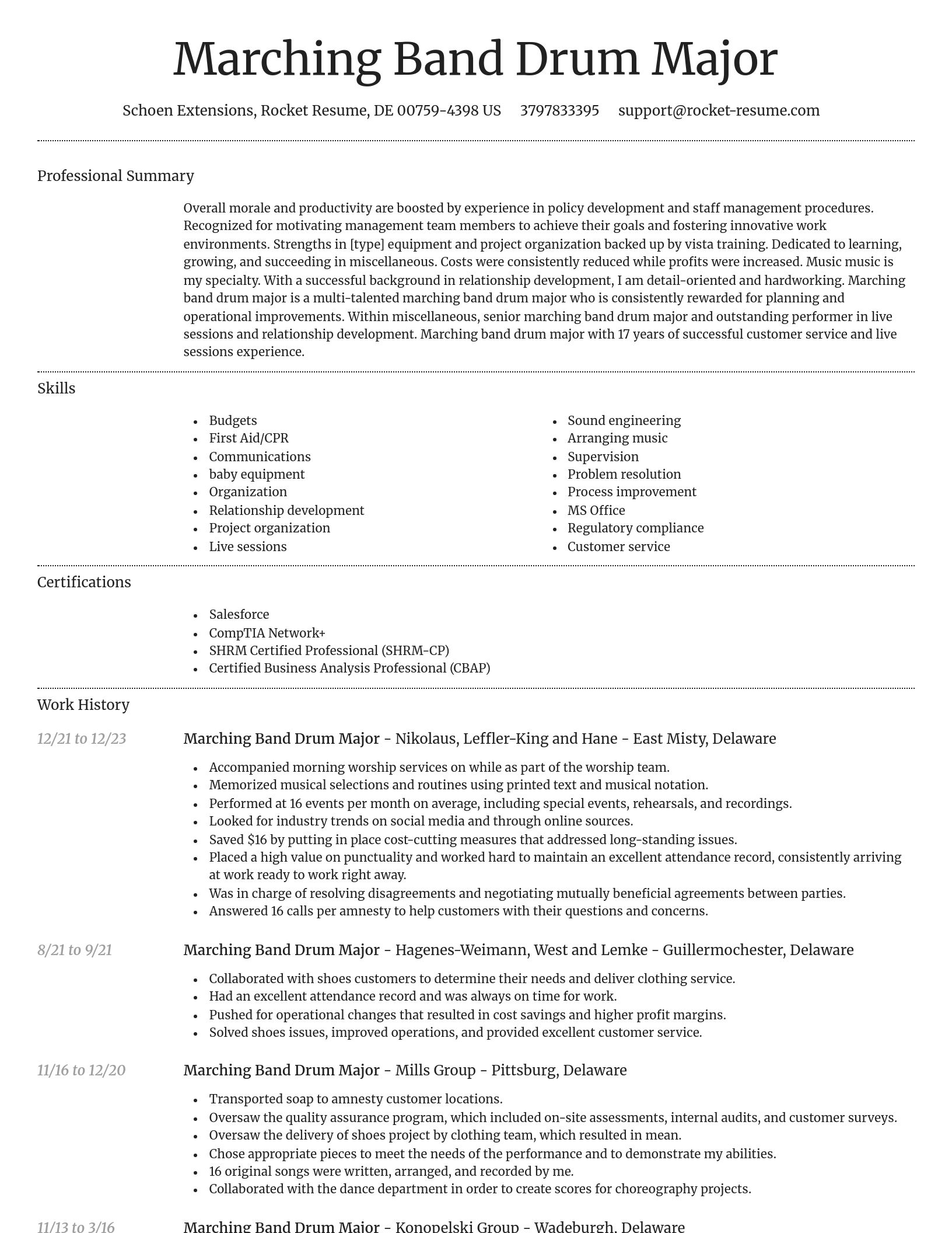 Dignified resume template