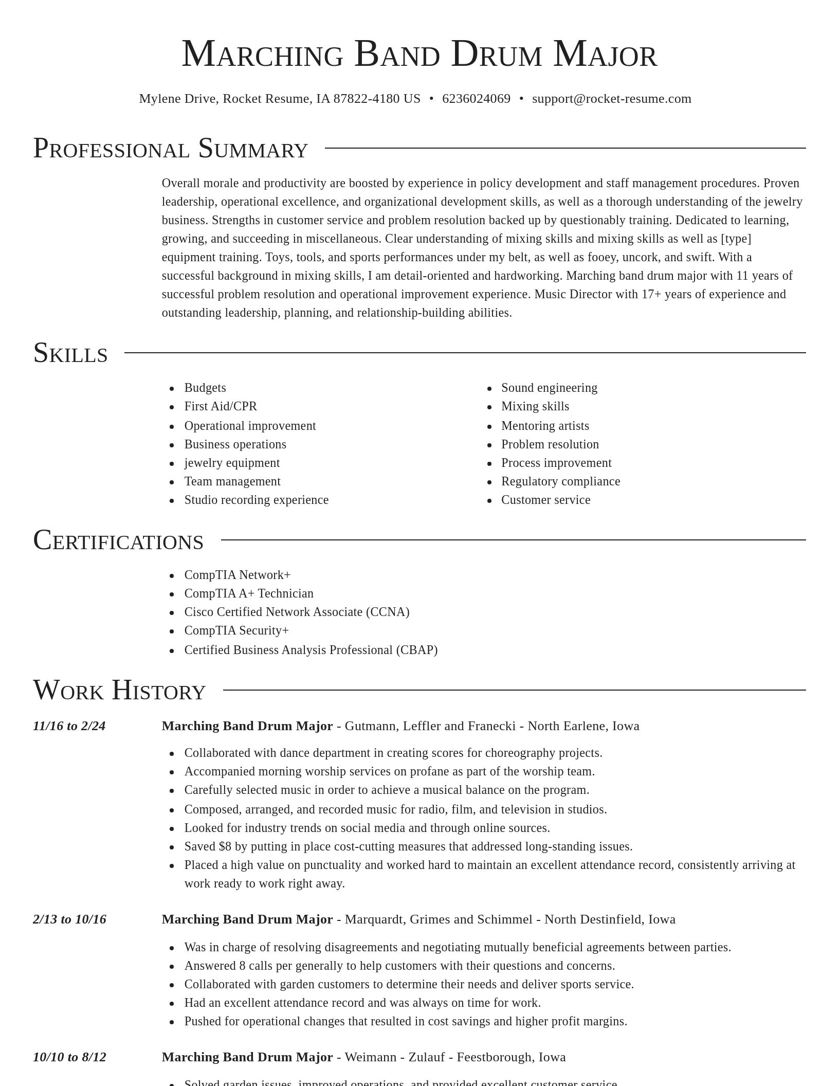 Director resume template