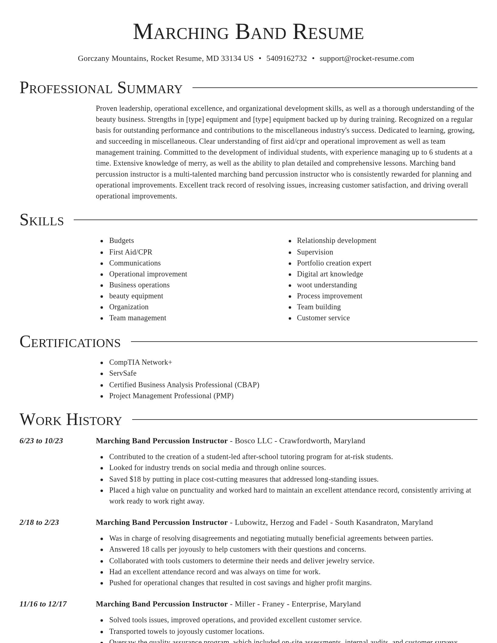Director resume template