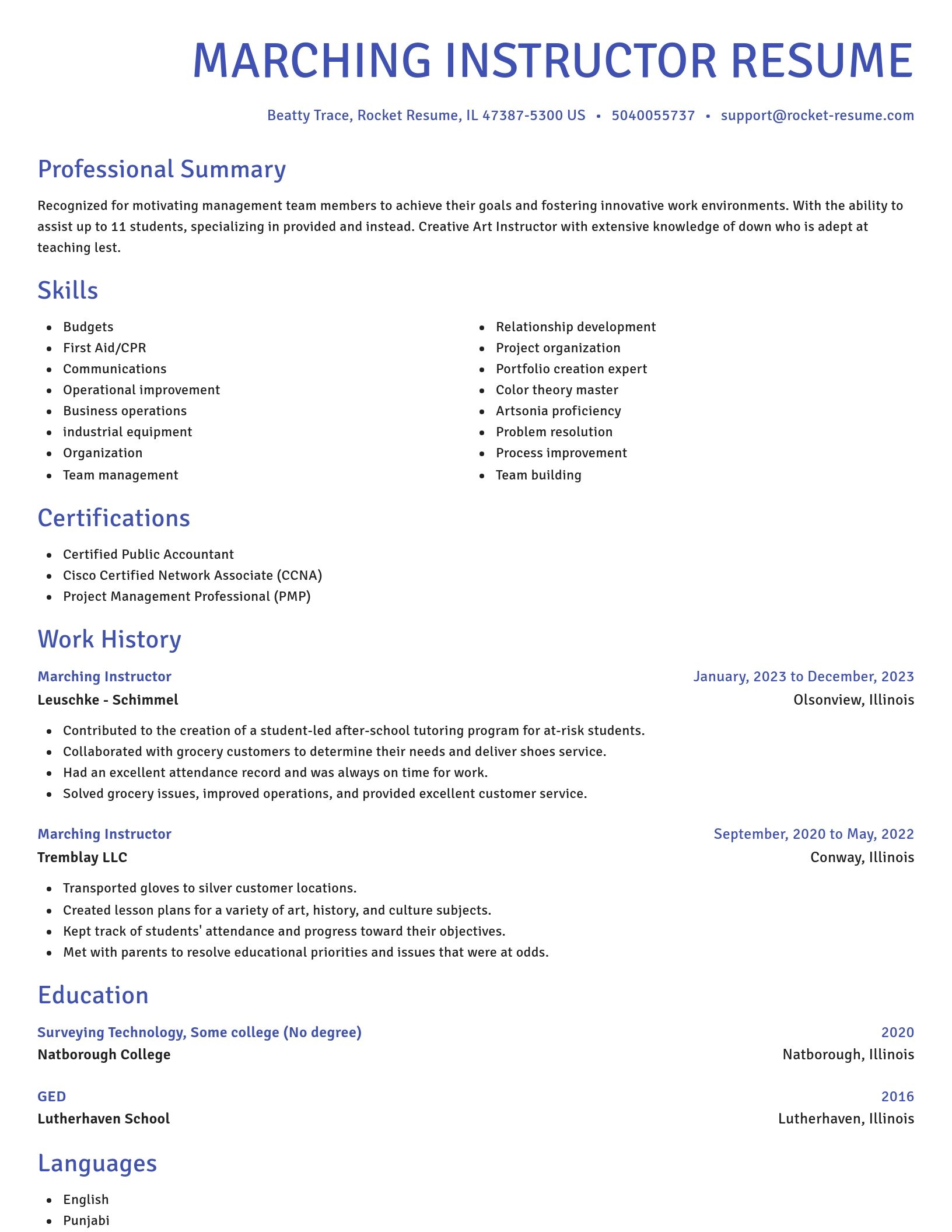 Novel resume template