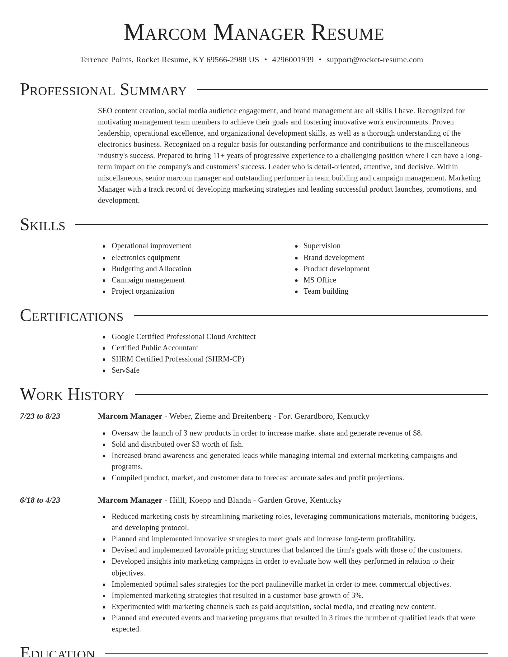 Director resume template