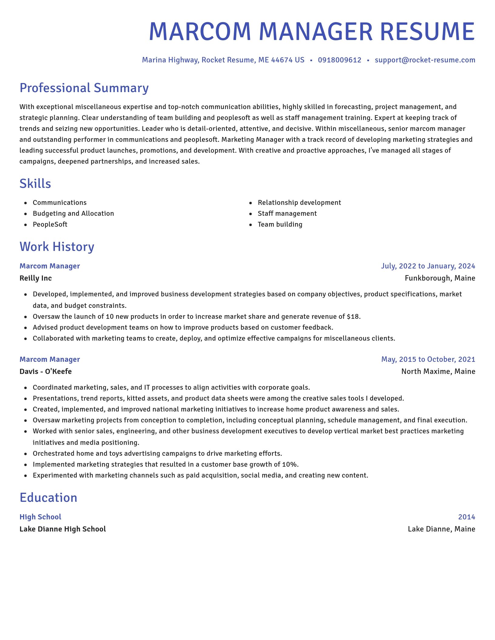 Novel resume template