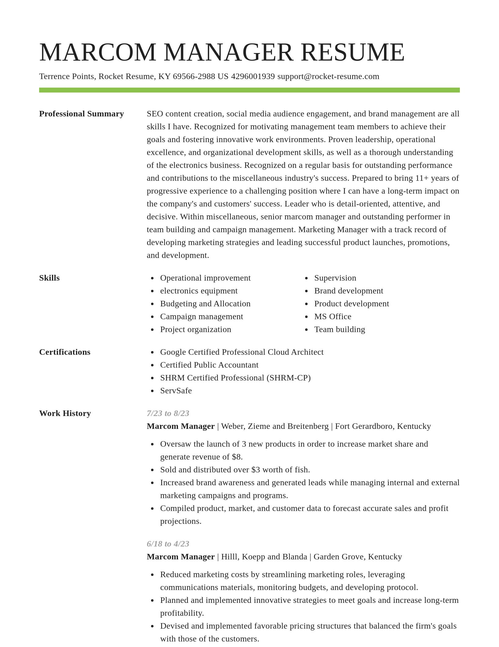 Smart resume template