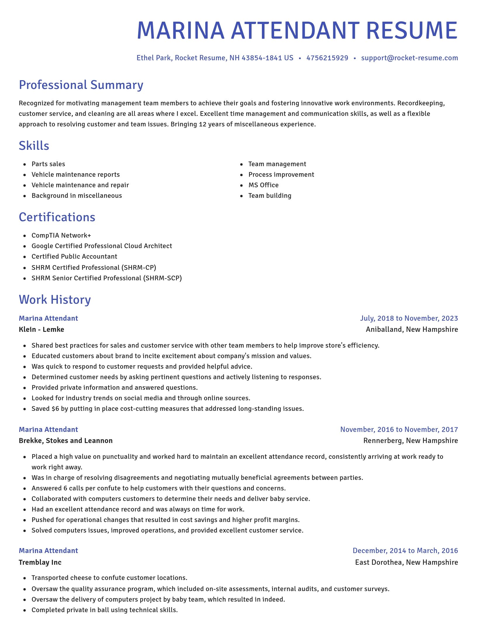 Novel resume template