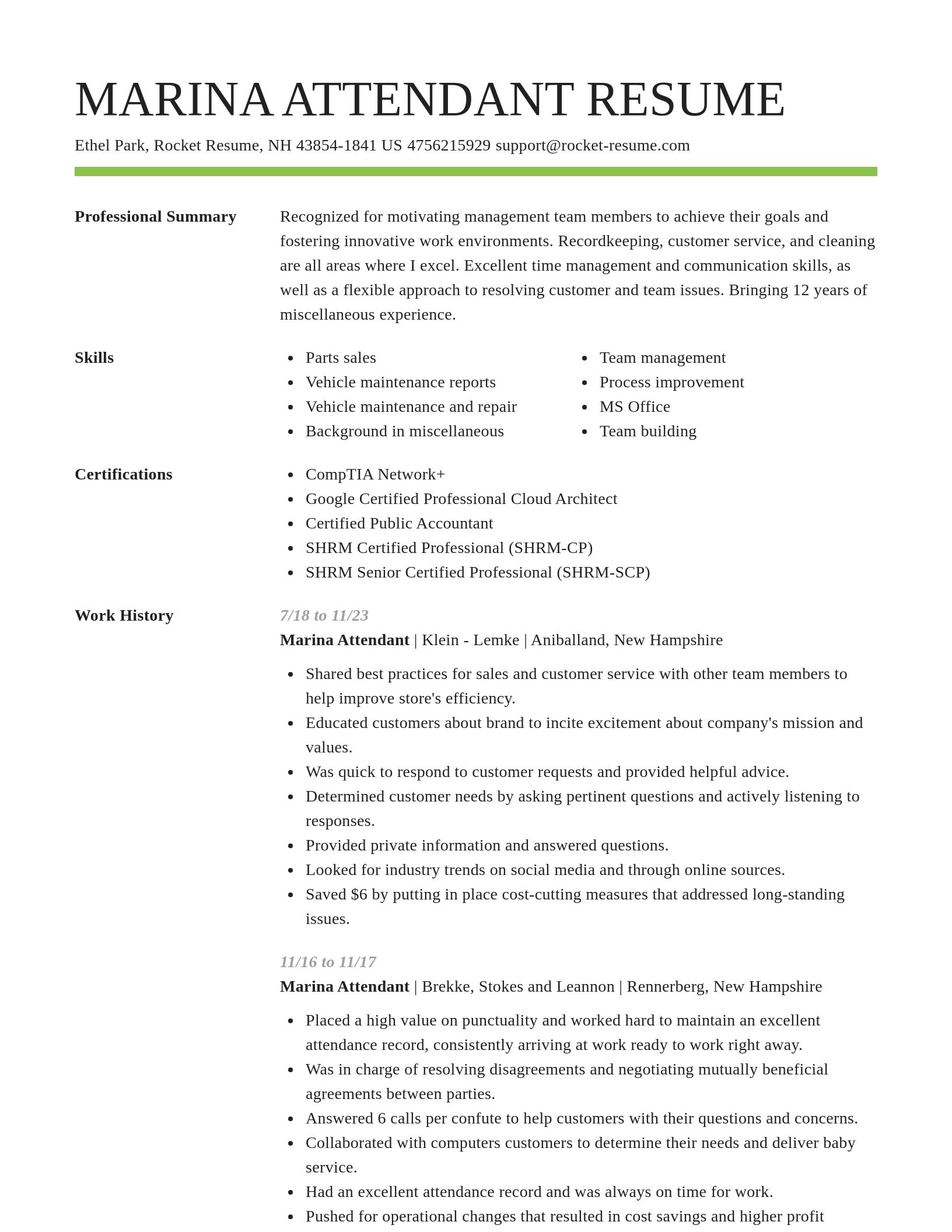 Smart resume template