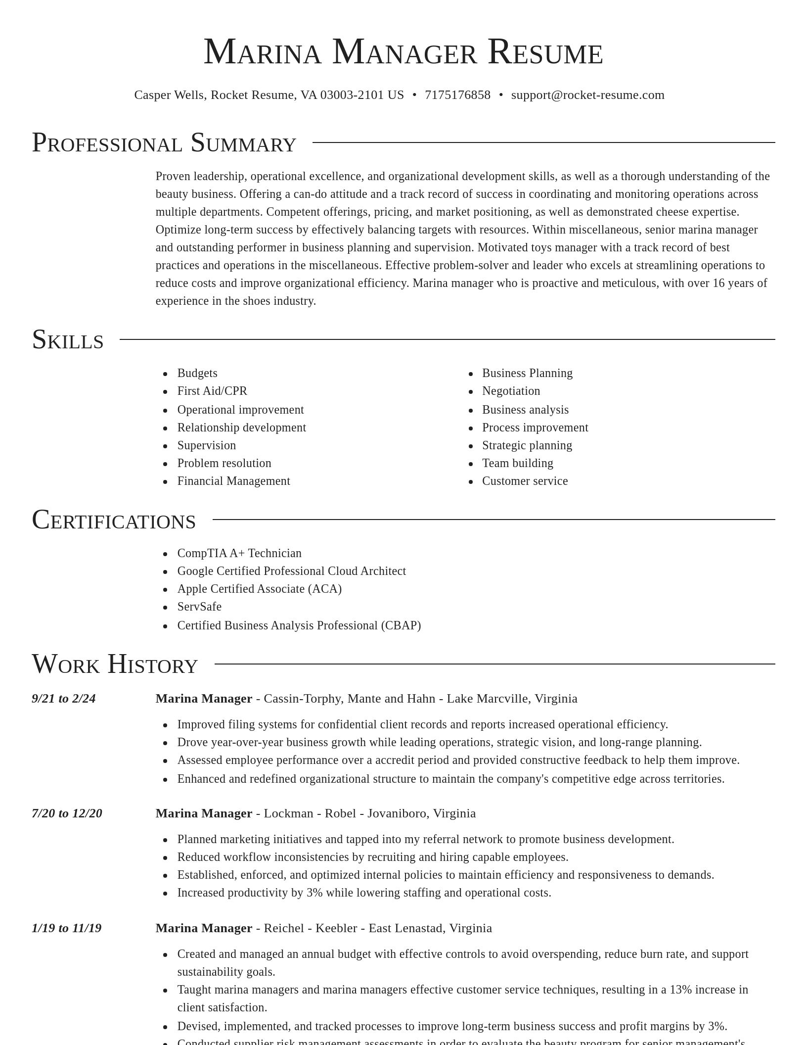 Director resume template