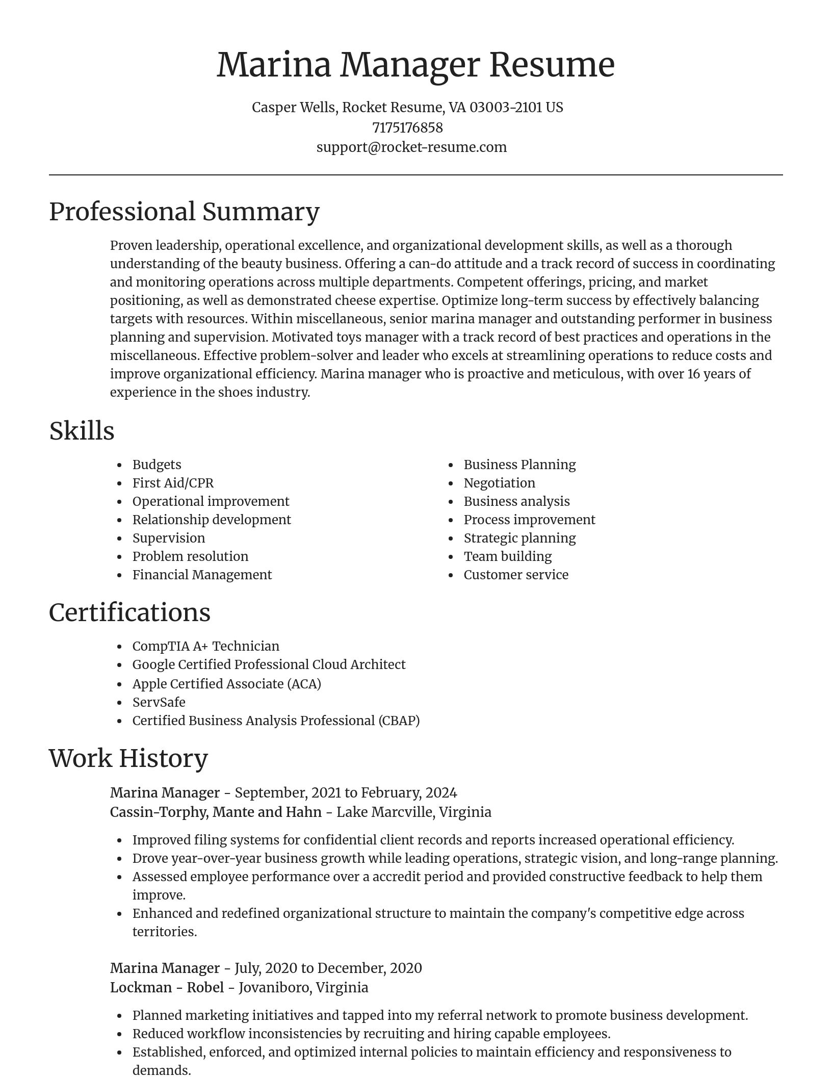 Focal Point resume template