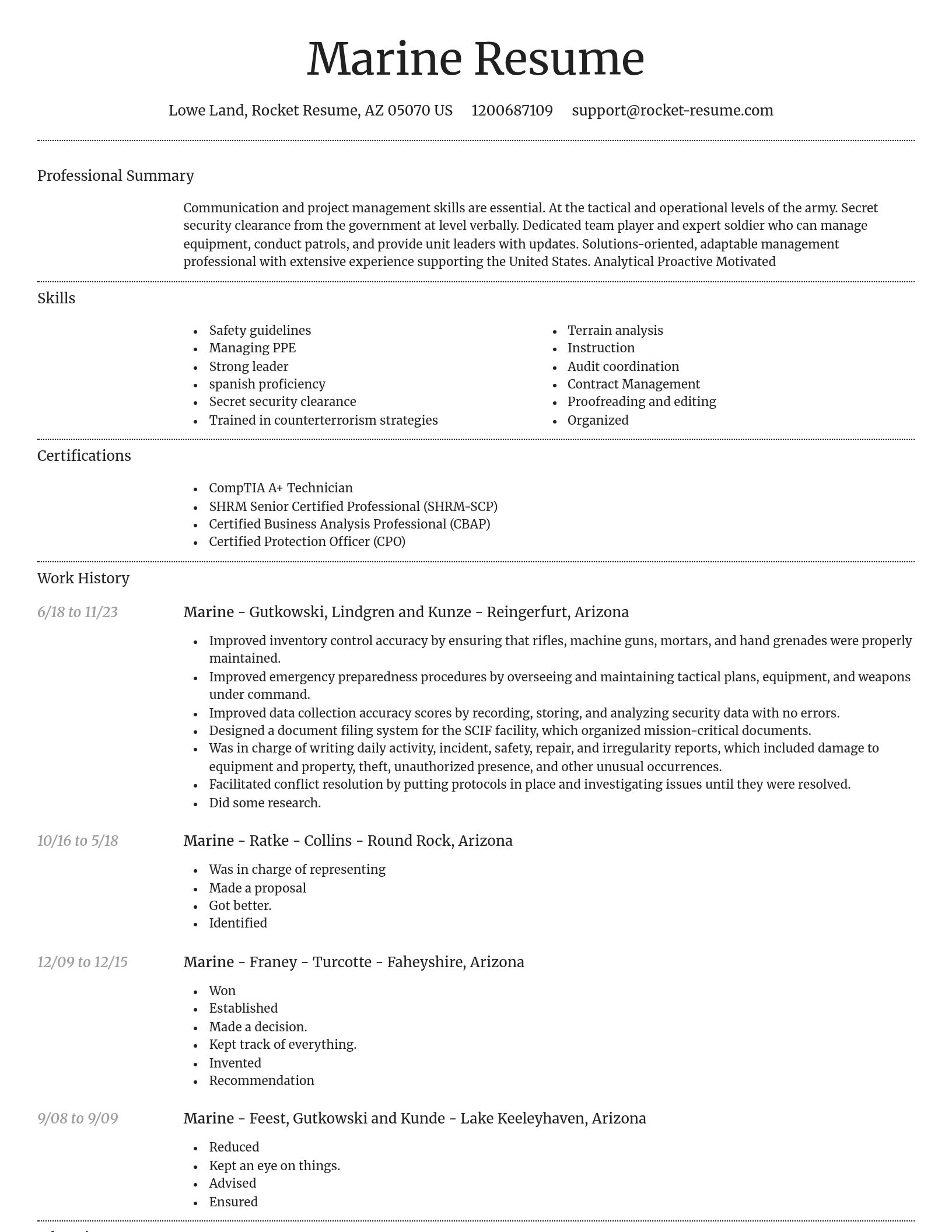 Dignified resume template