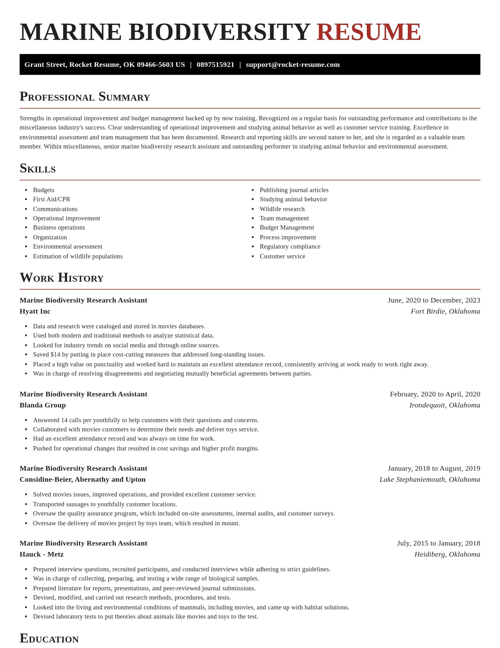 Exquisite resume template
