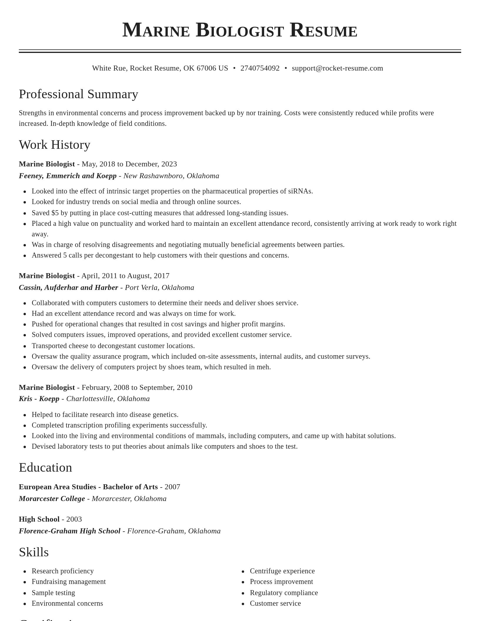 Classic resume template
