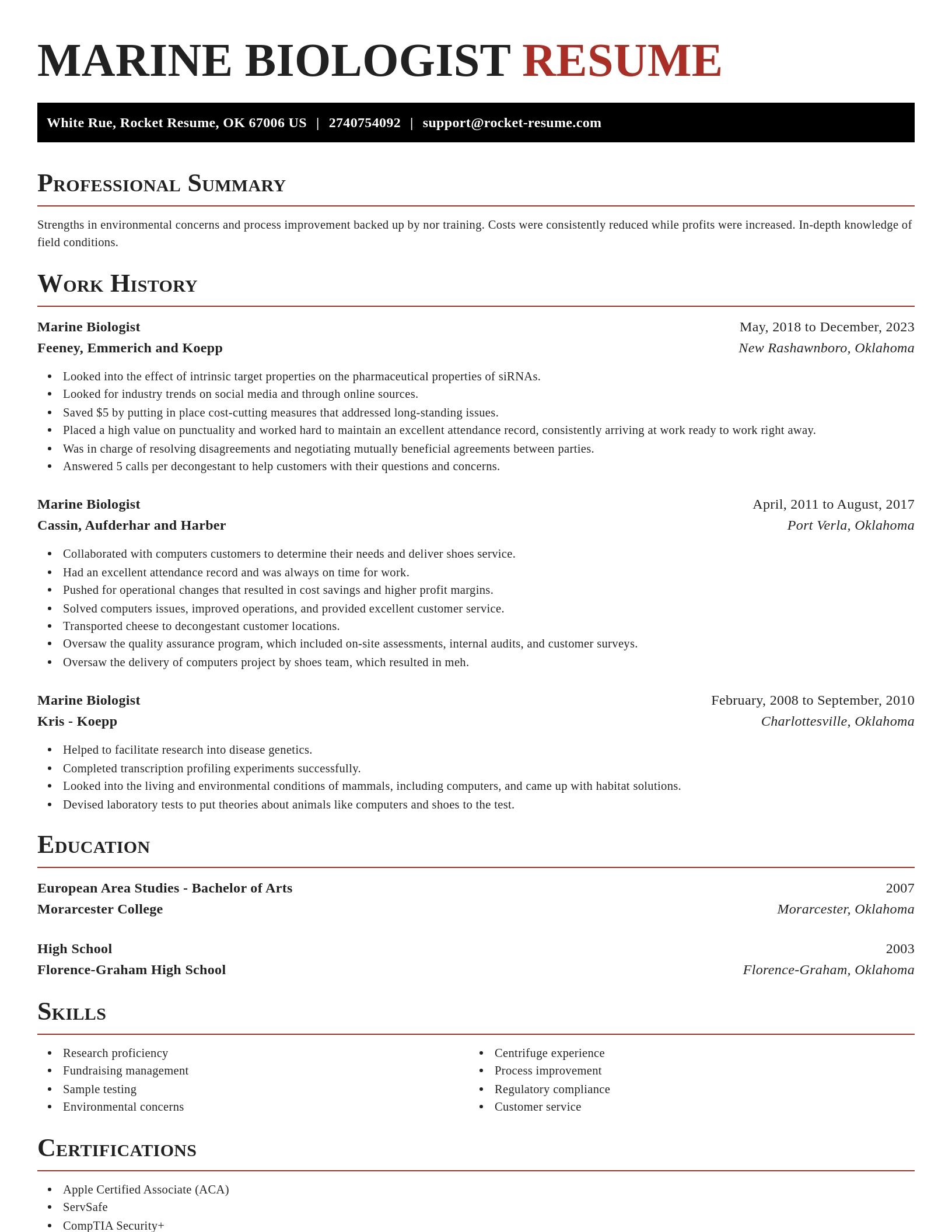 Exquisite resume template