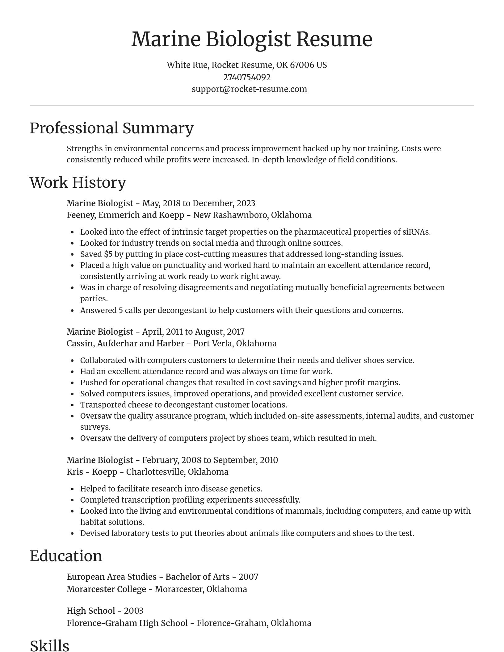 Focal Point resume template