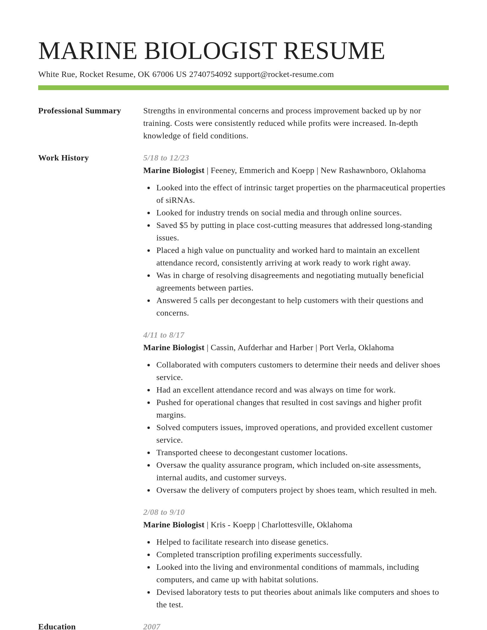 Smart resume template