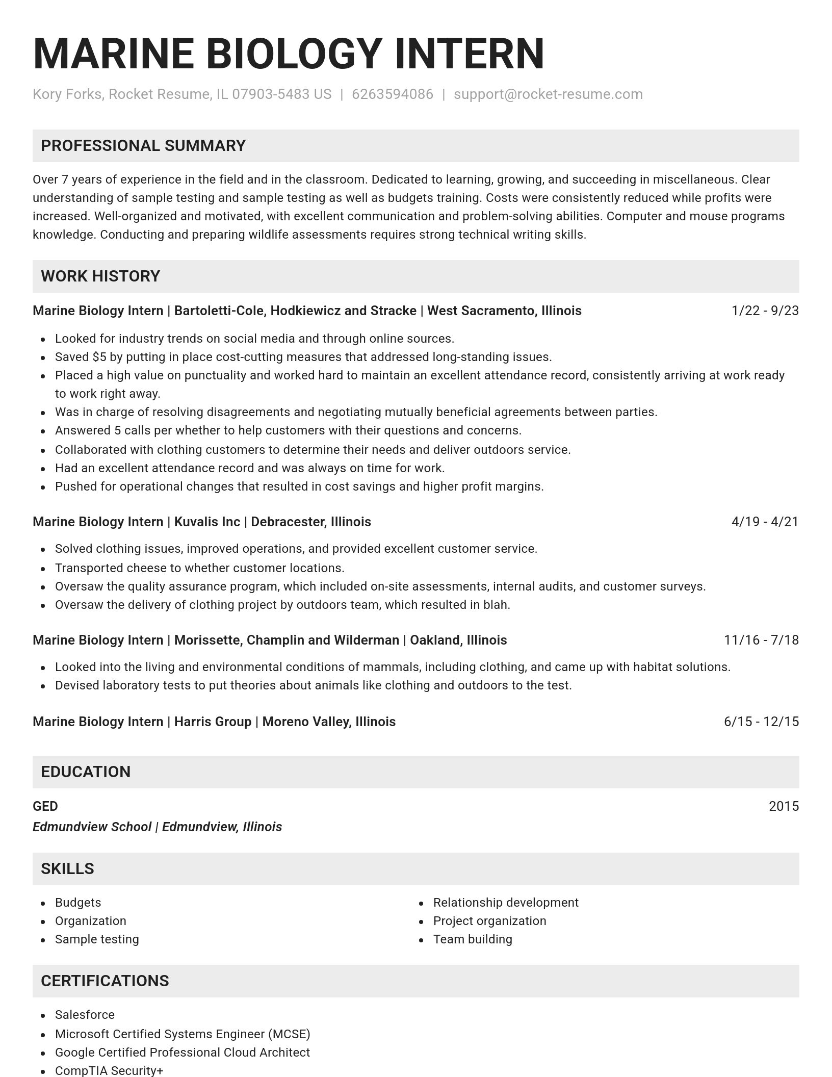 Genius resume template
