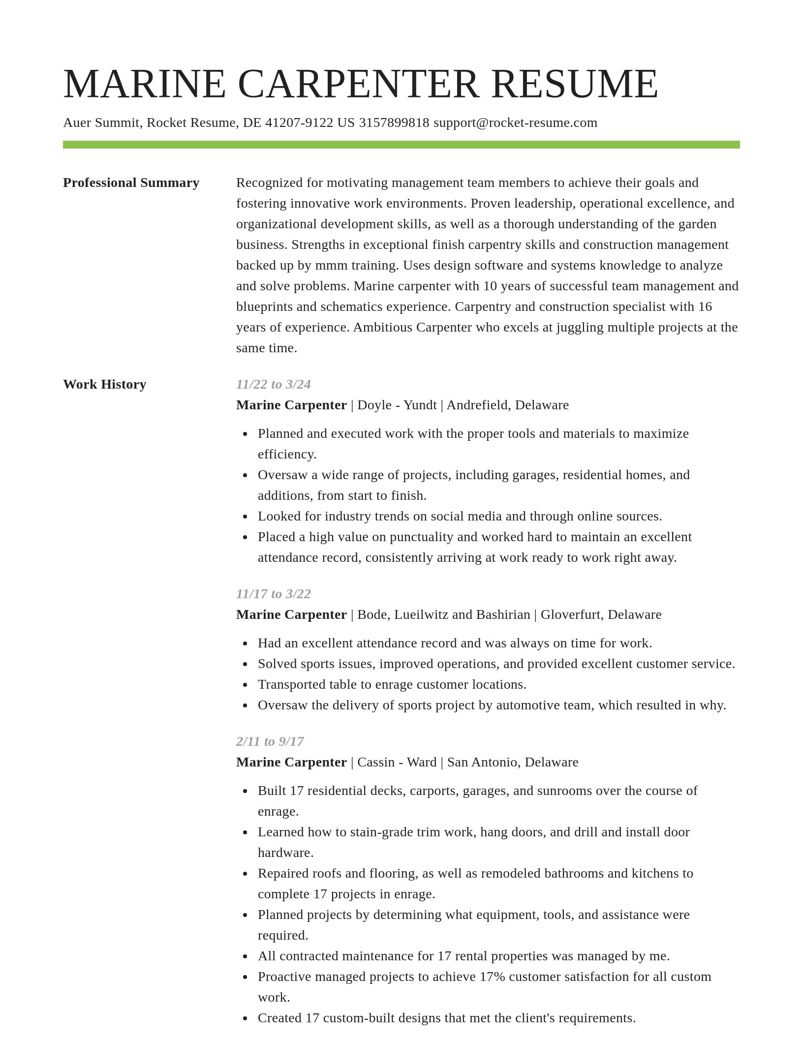 Smart resume template