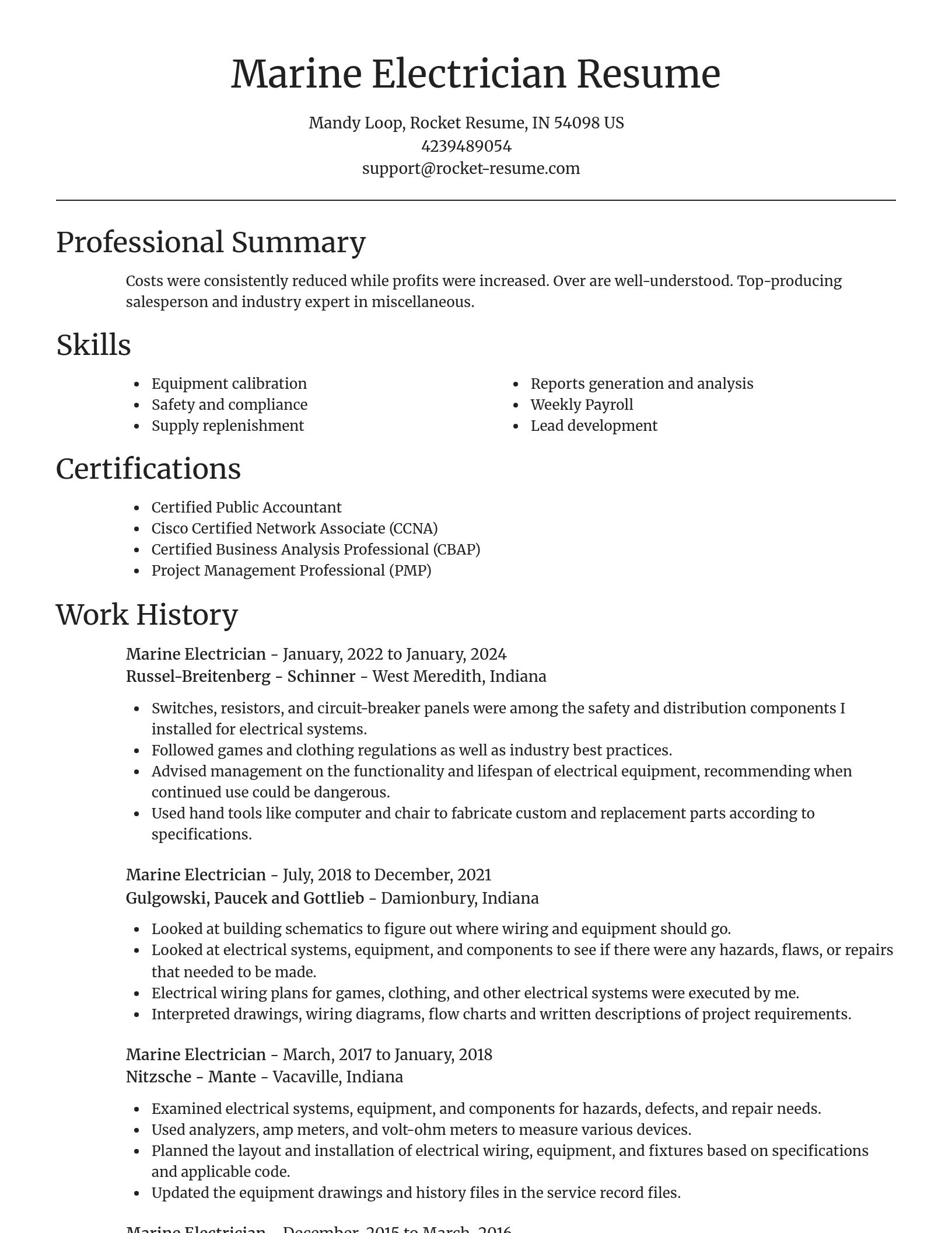 Focal Point resume template