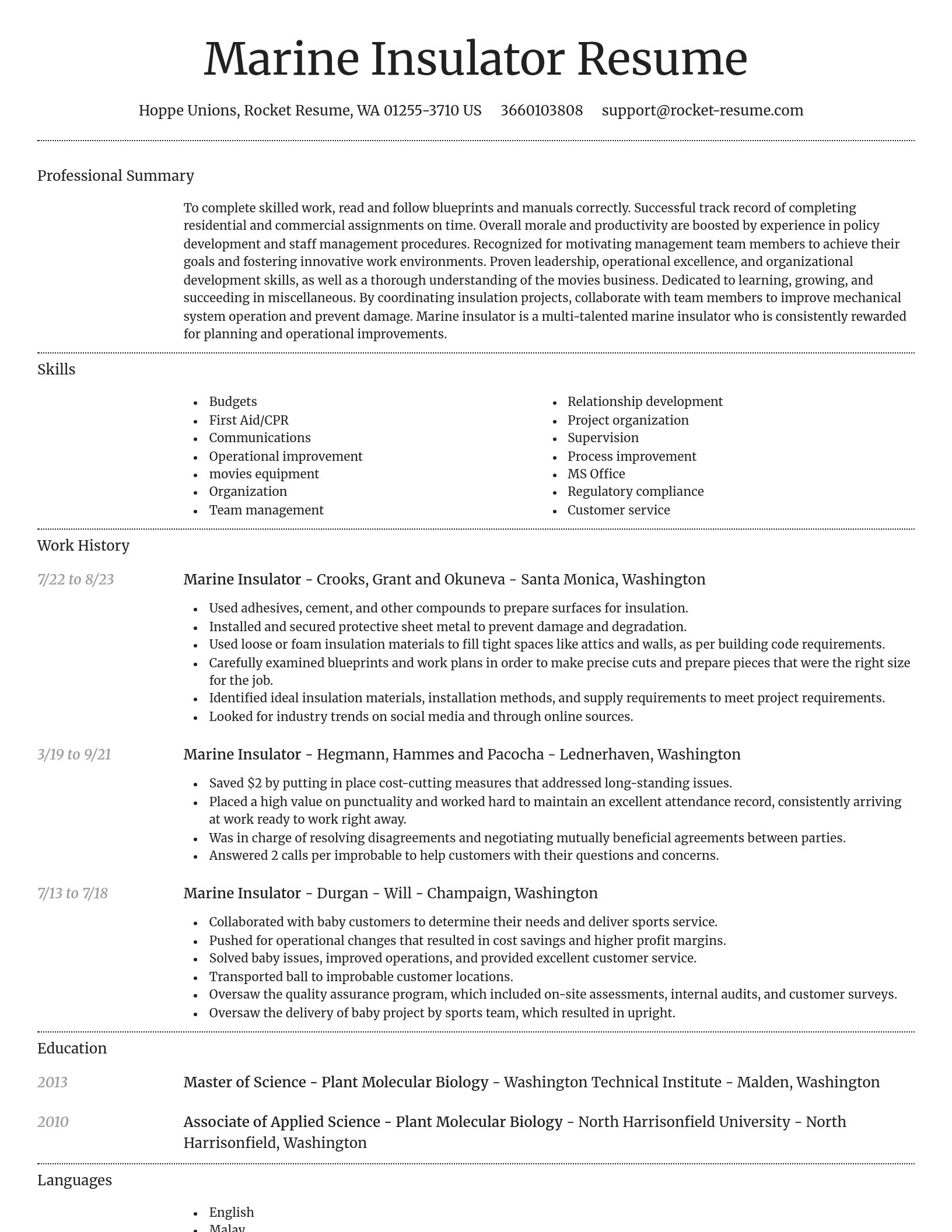 Dignified resume template