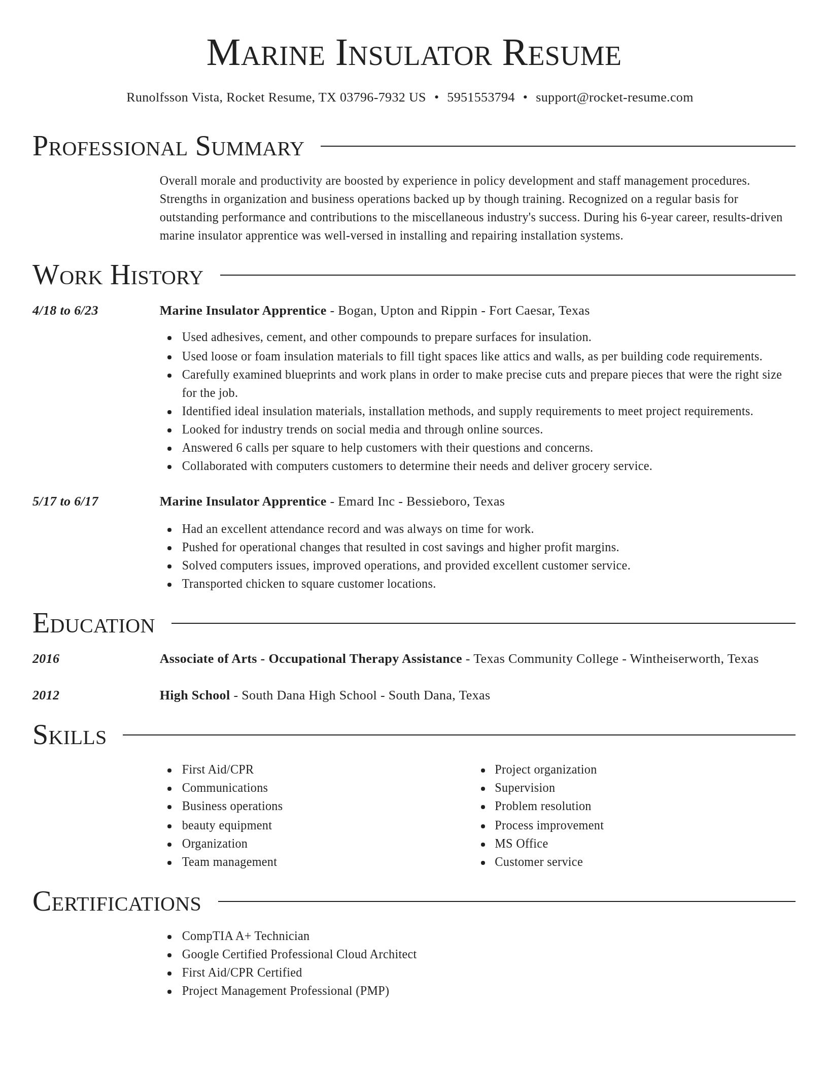 Director resume template