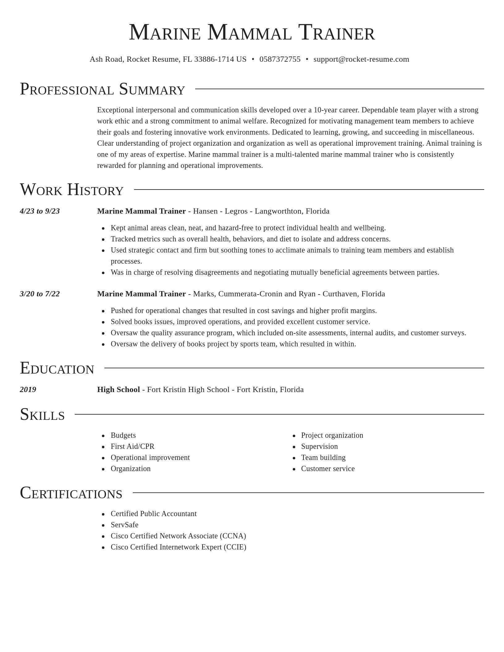 Director resume template