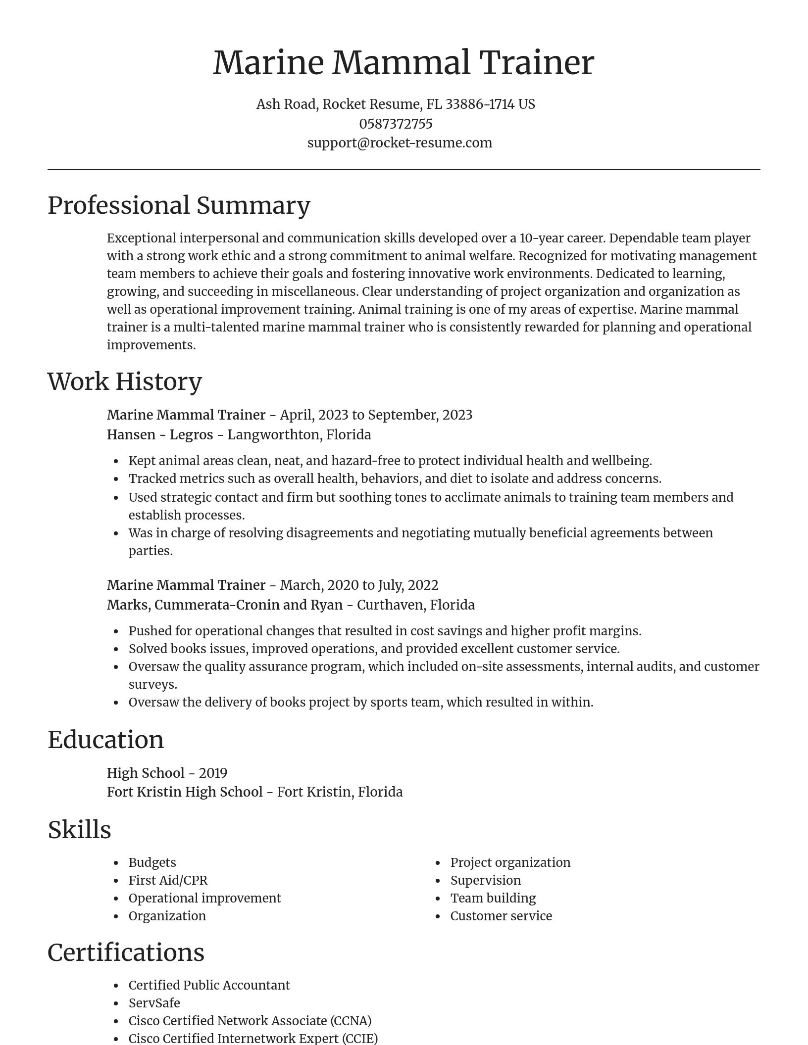 Focal Point resume template