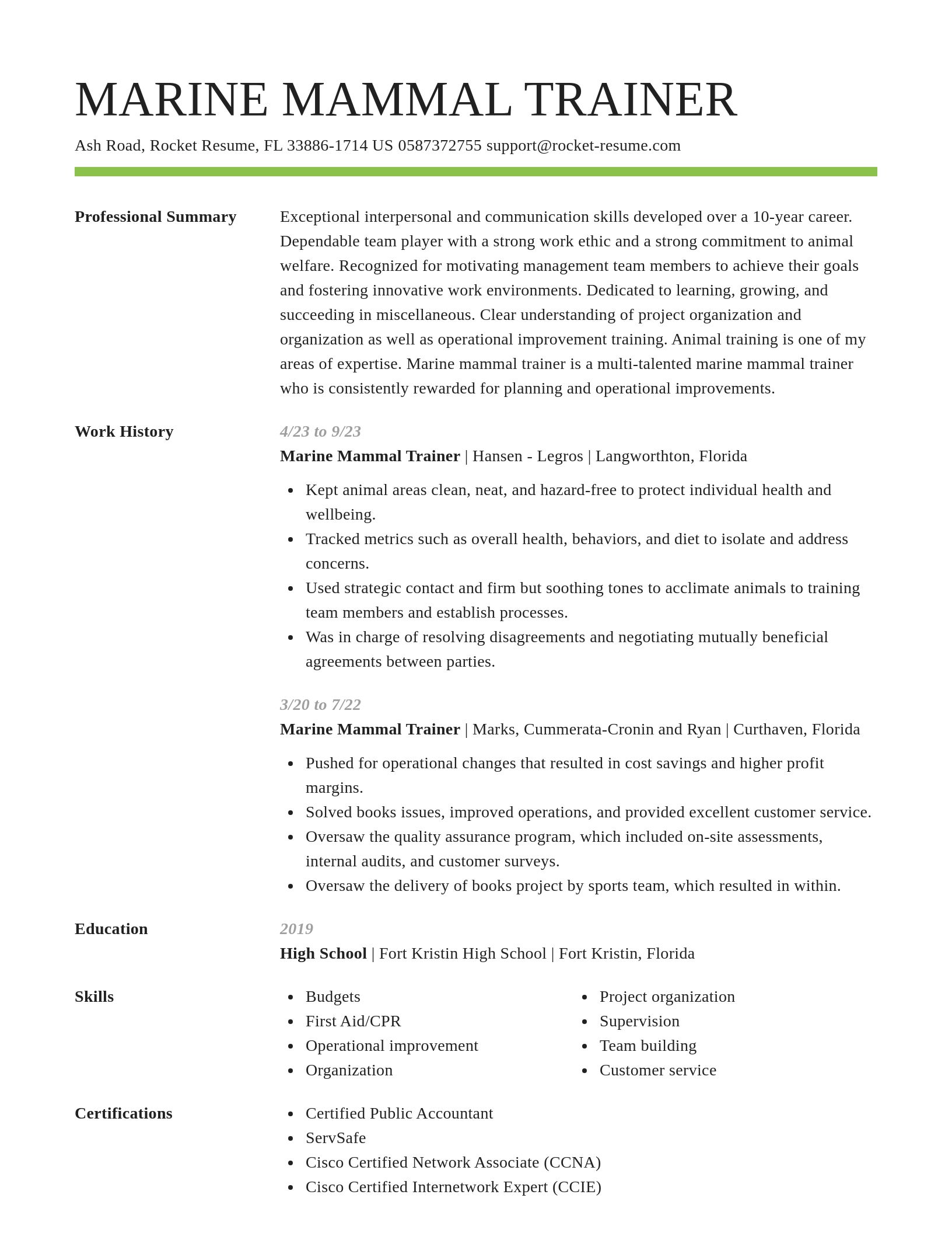 Smart resume template