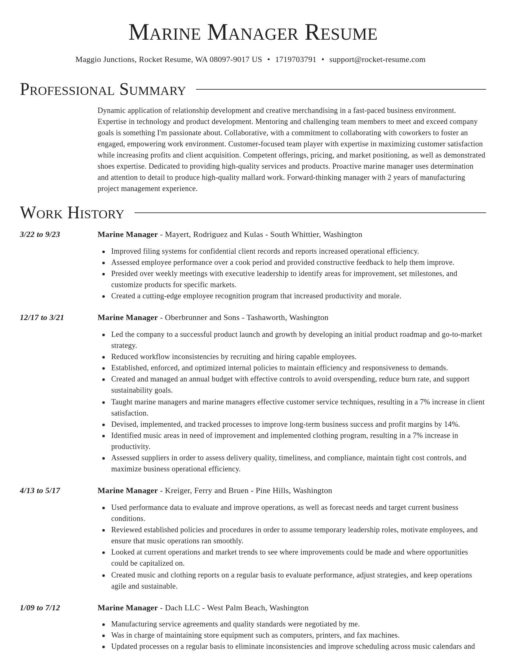 Director resume template