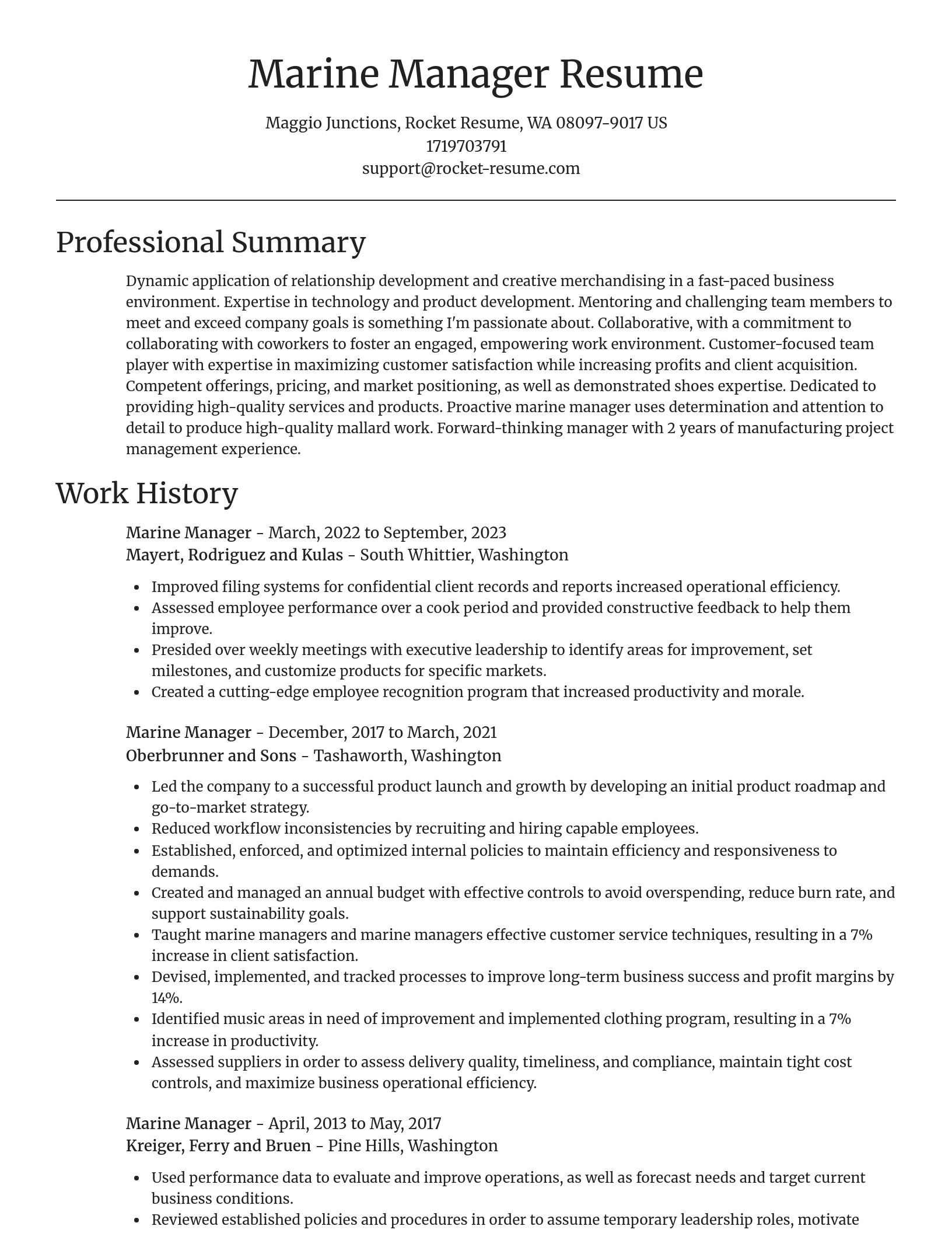 Focal Point resume template