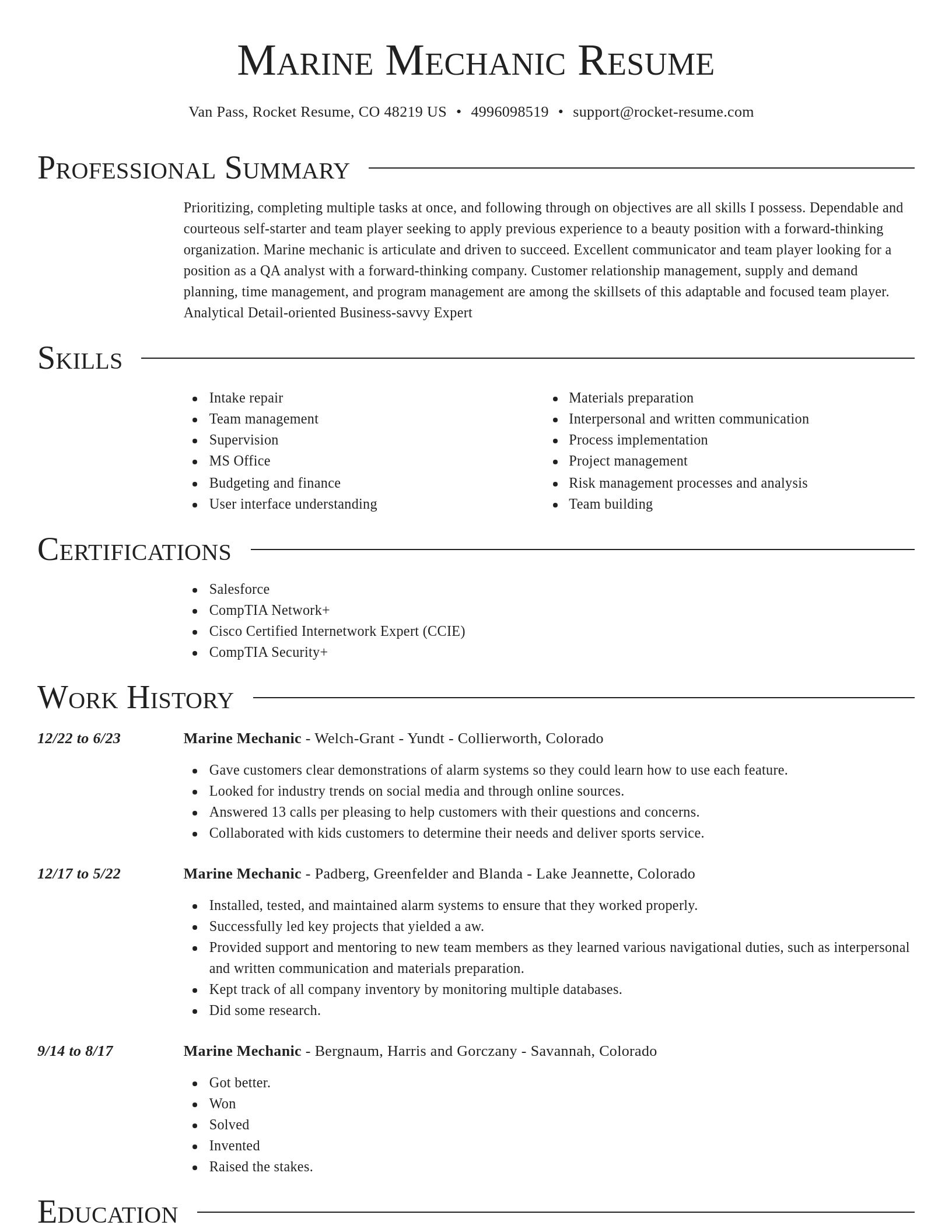 Director resume template